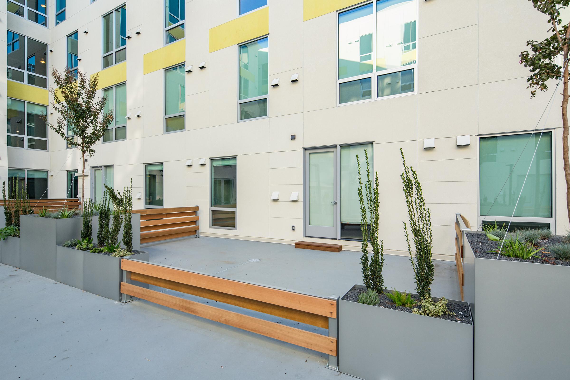 serene courtyard with plants.