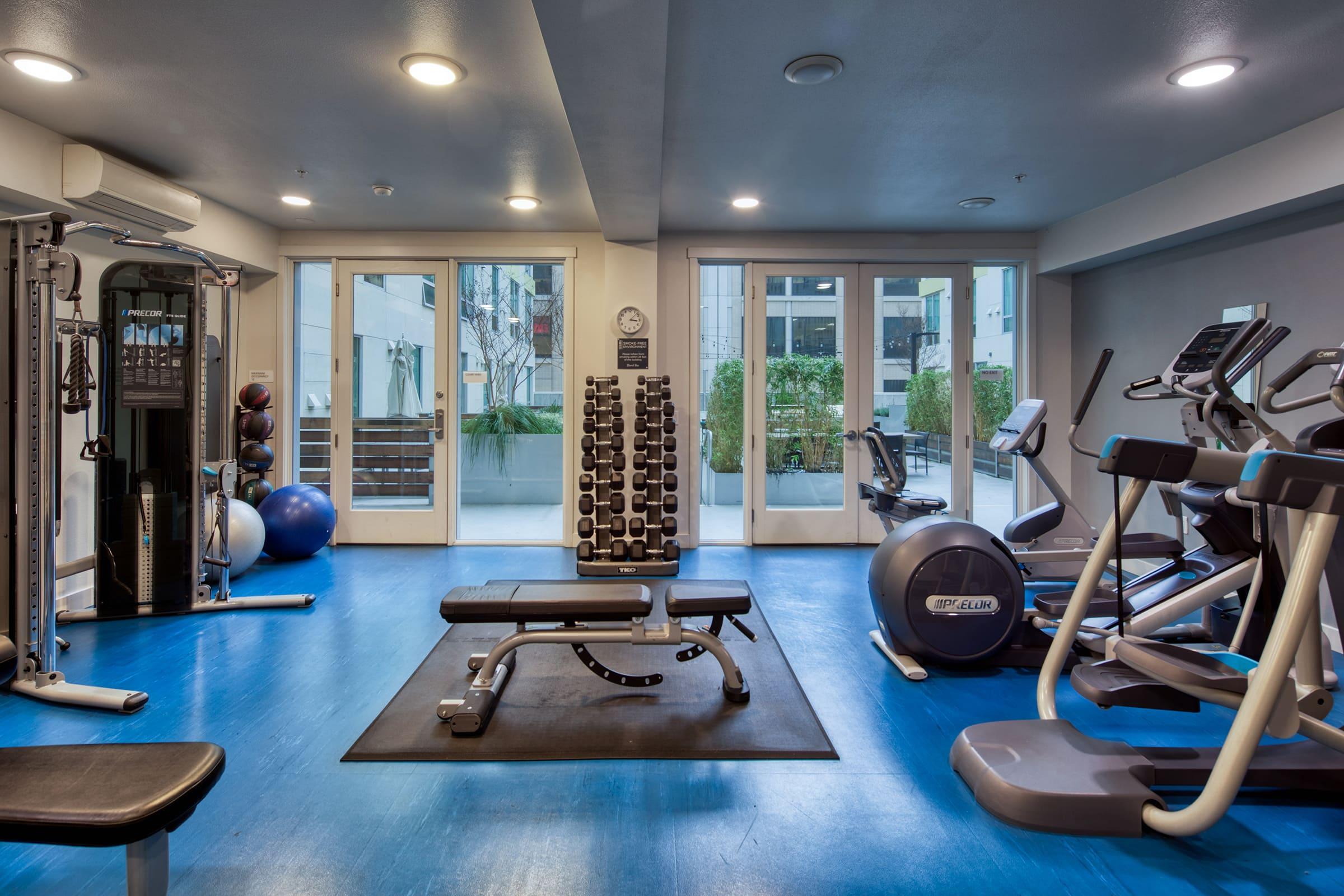 weight bench and other gym equipment.