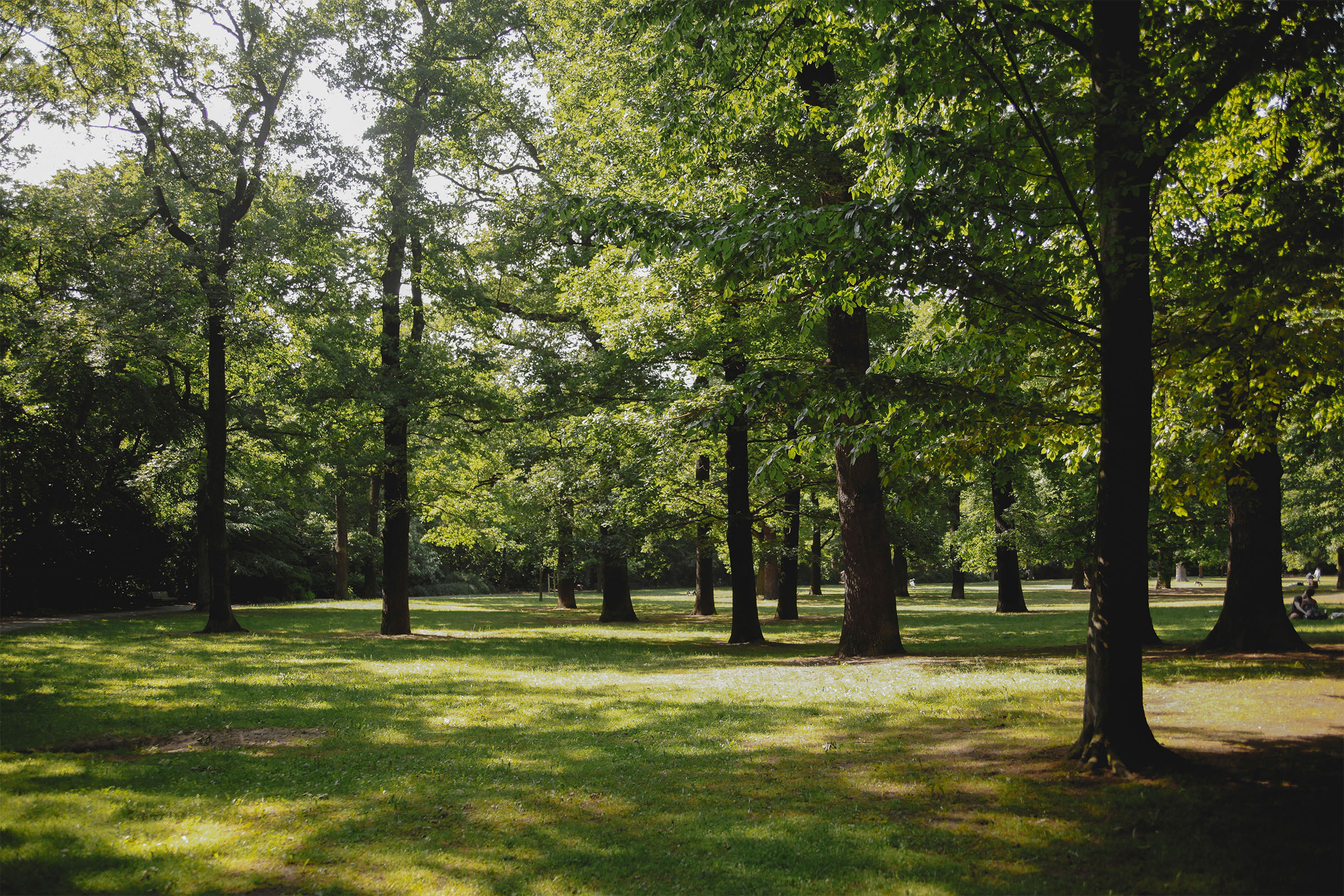 Community Amenities