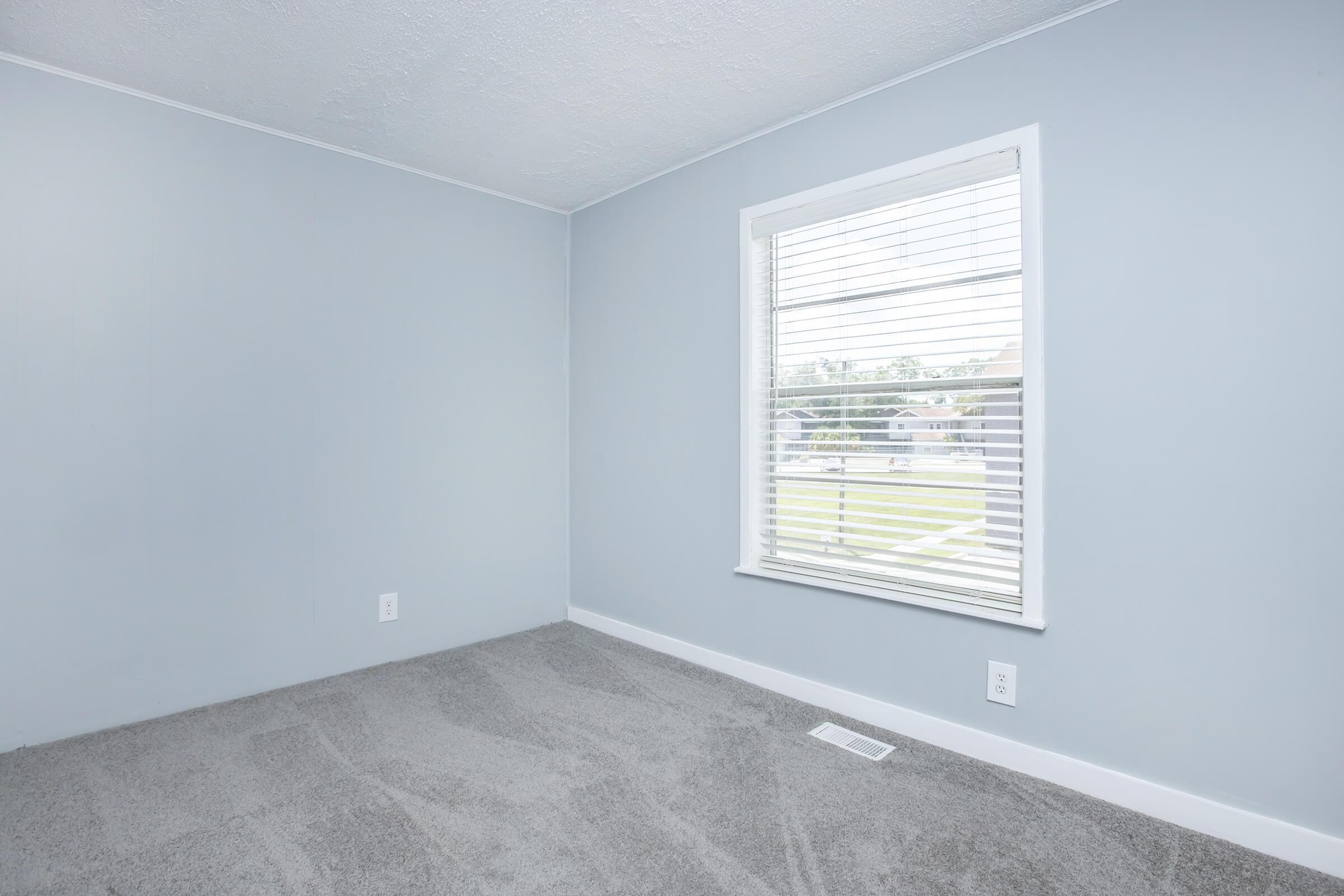 A light blue room with a clean, carpeted floor and a window dressed with white blinds. The window overlooks a grassy area outside, providing natural light to the space. The walls are bare, creating a minimalistic and open feel.