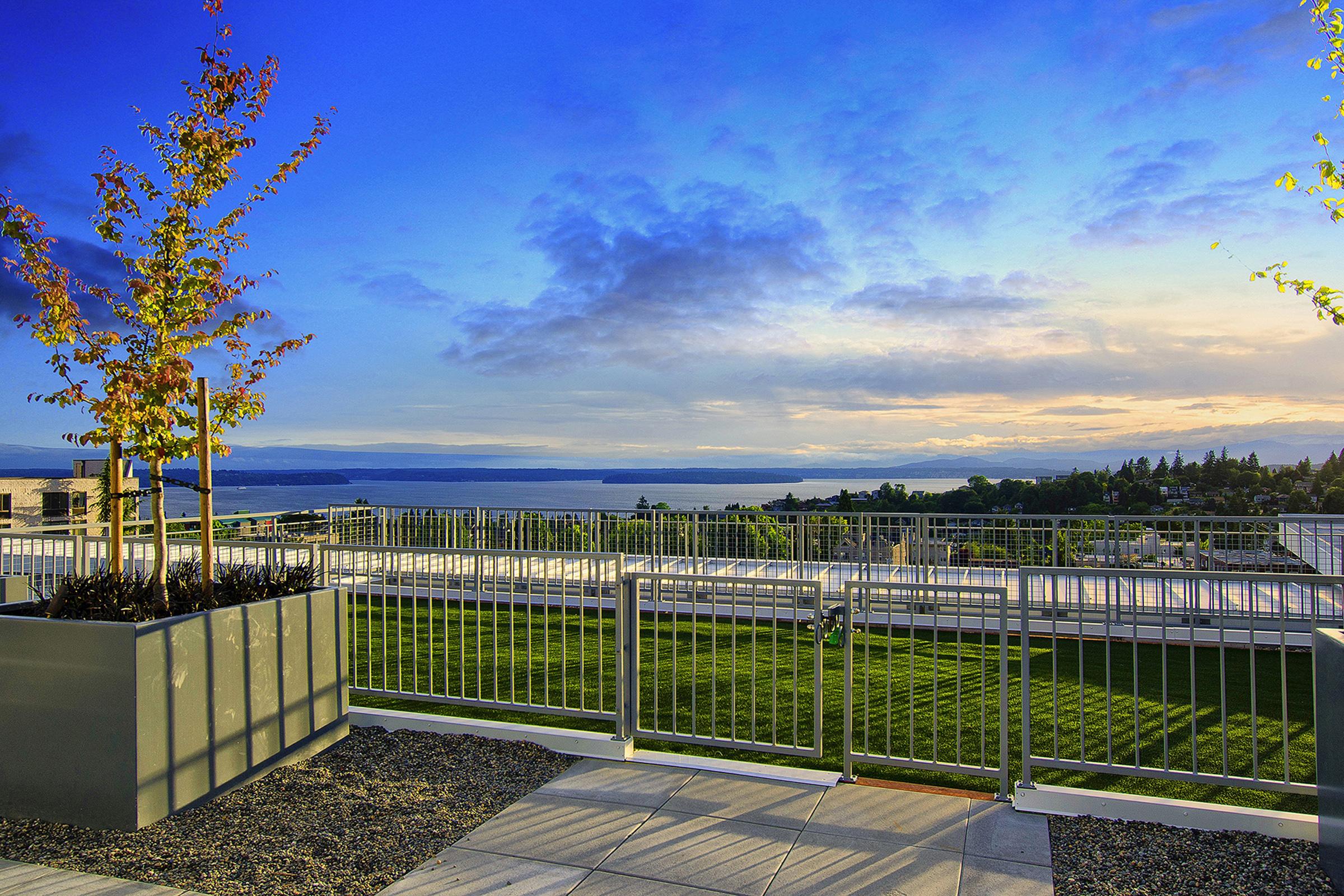 A scenic outdoor view featuring a manicured lawn, metal fencing, and young trees, set against a backdrop of a vibrant sky with clouds and a distant body of water. The scene captures a peaceful landscape at dusk or dawn, evoking a sense of tranquility and natural beauty.