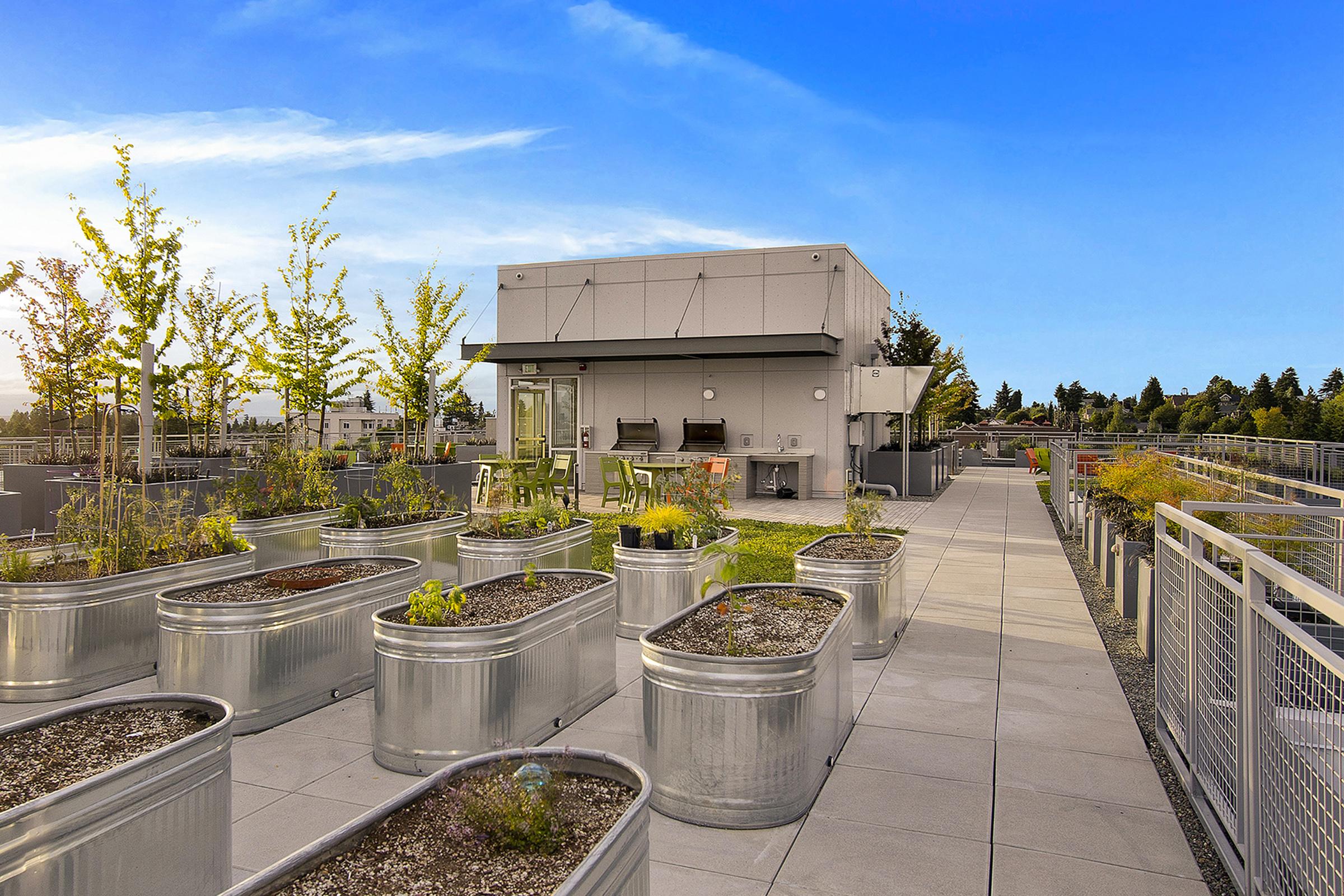 A rooftop garden featuring metal planters filled with various plants, along with a small outdoor seating area and a barbecue grill. The space is well-lit by natural sunlight, with a clear blue sky in the background and green trees lining the area.