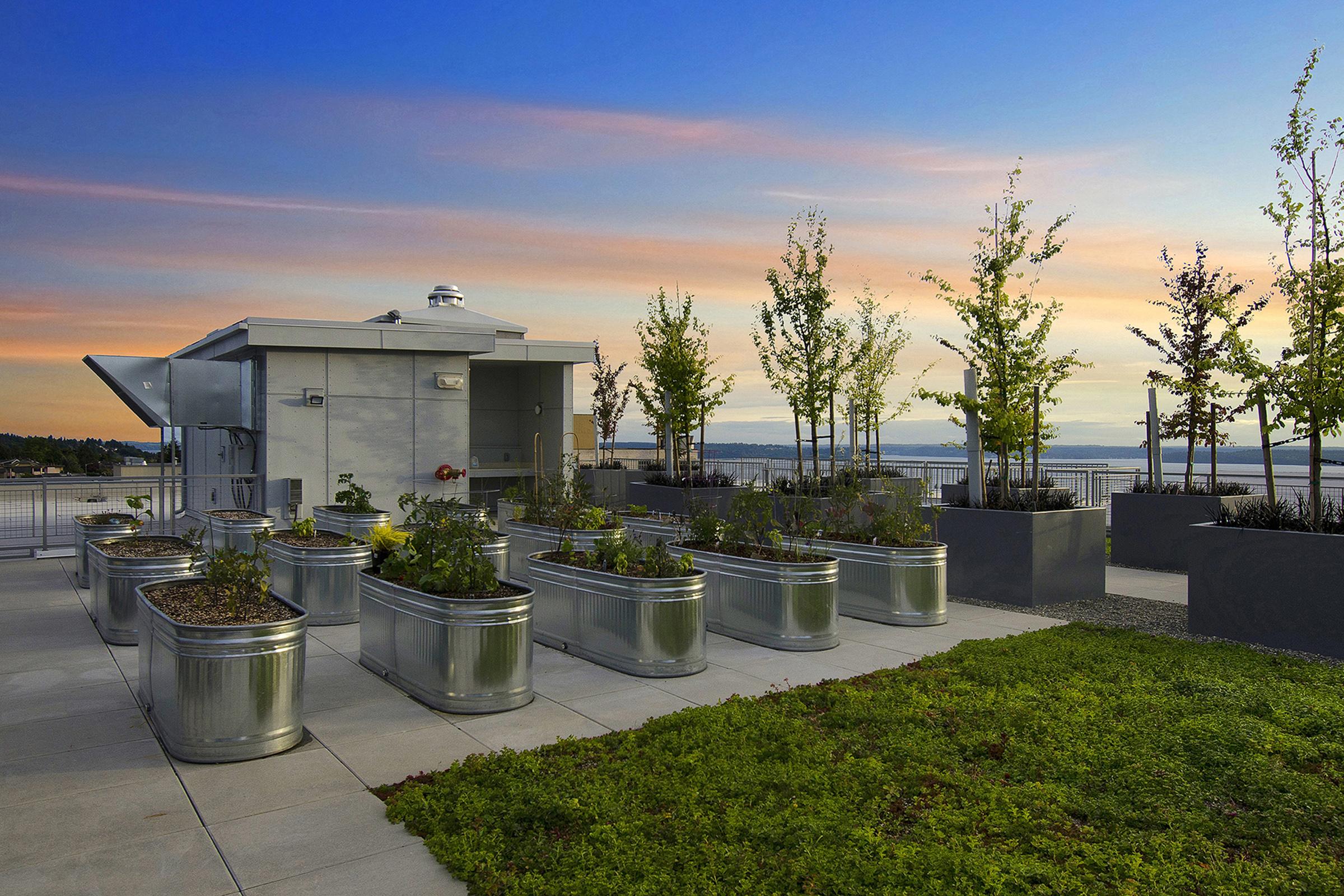 A rooftop garden featuring large metallic planters filled with various plants, set against a backdrop of a vibrant sunset sky. The area is surrounded by greenery and has modern architectural elements, offering a tranquil outdoor space with views of the horizon.