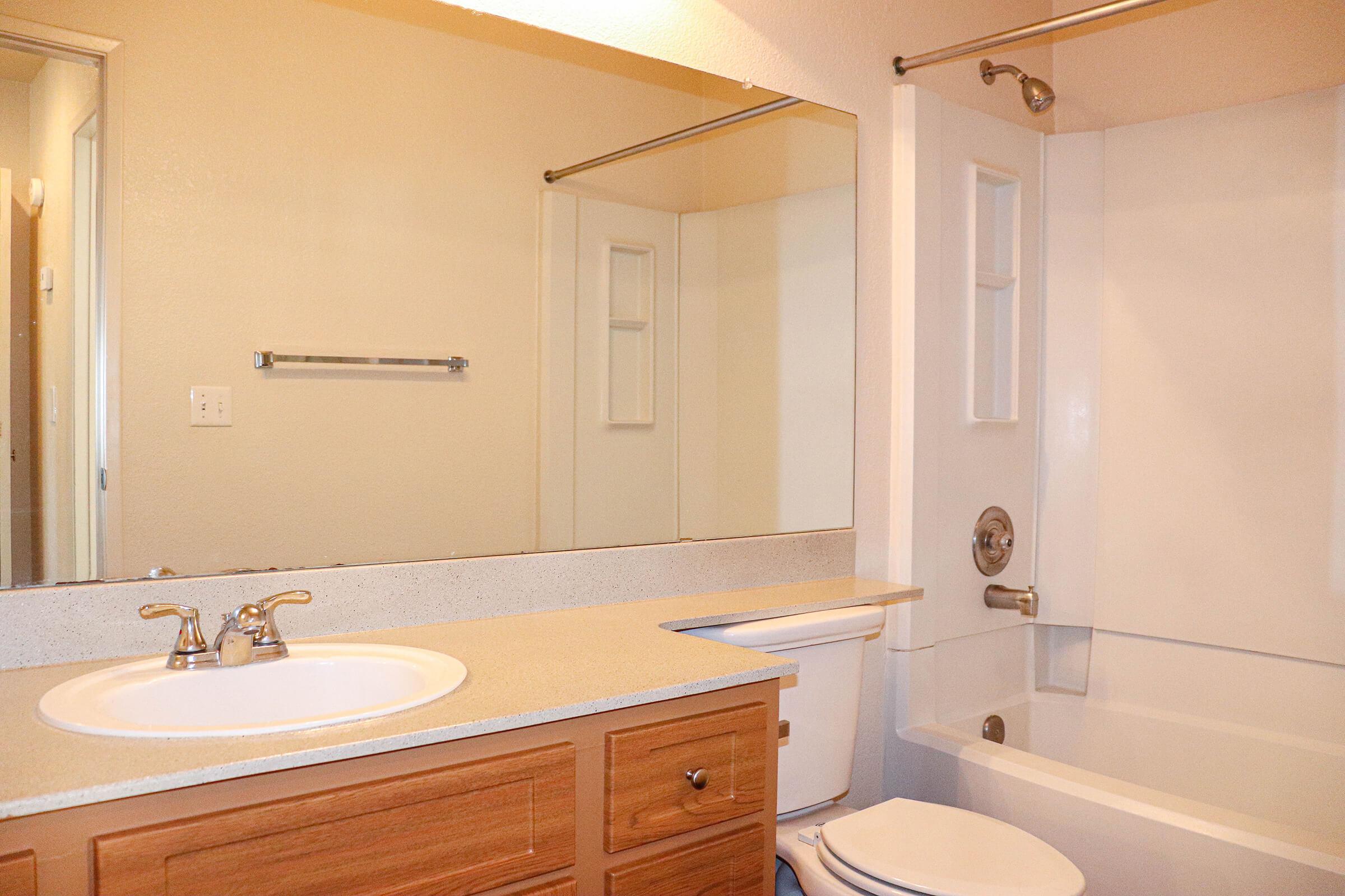 a double sink and large mirror