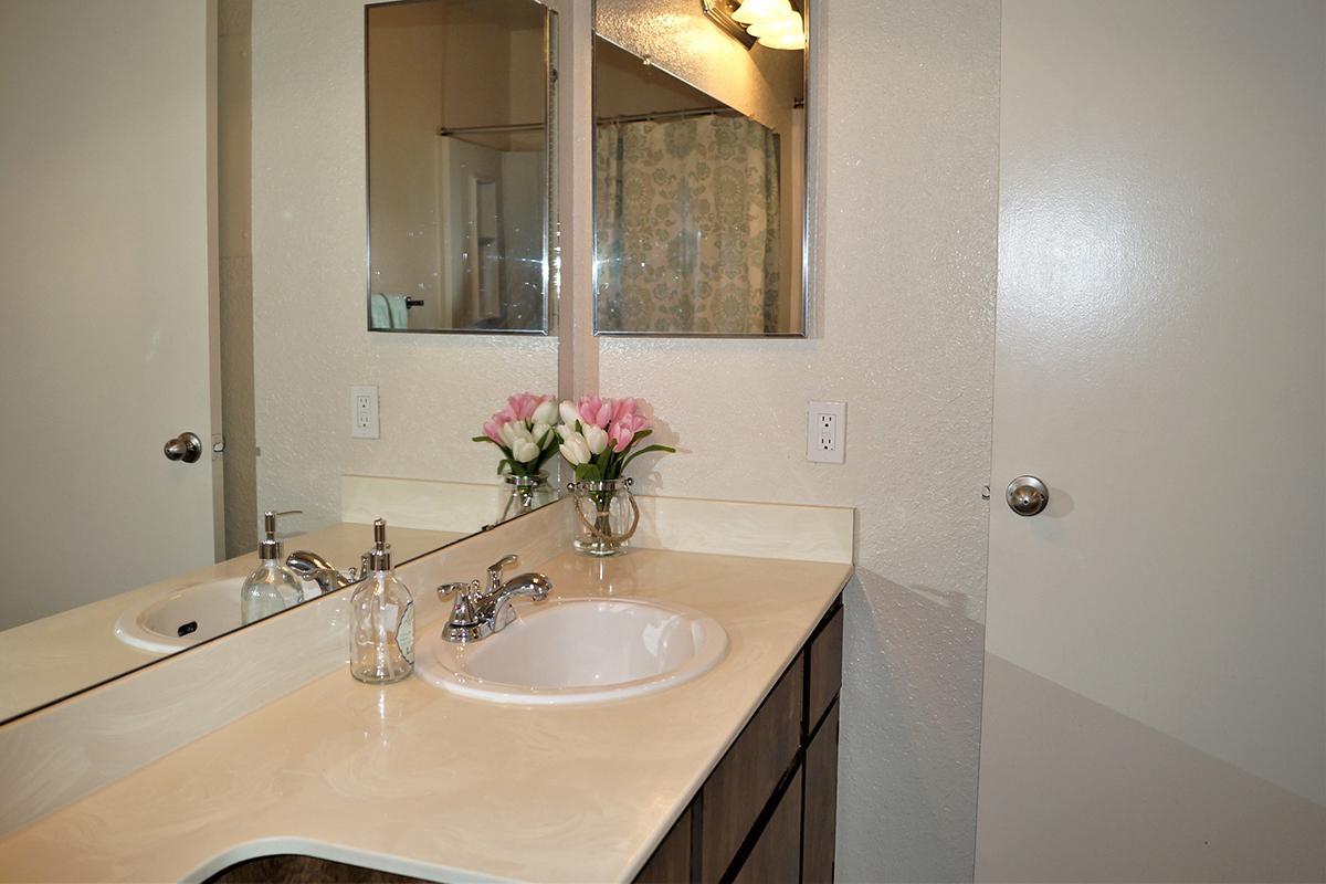 a double sink and large mirror