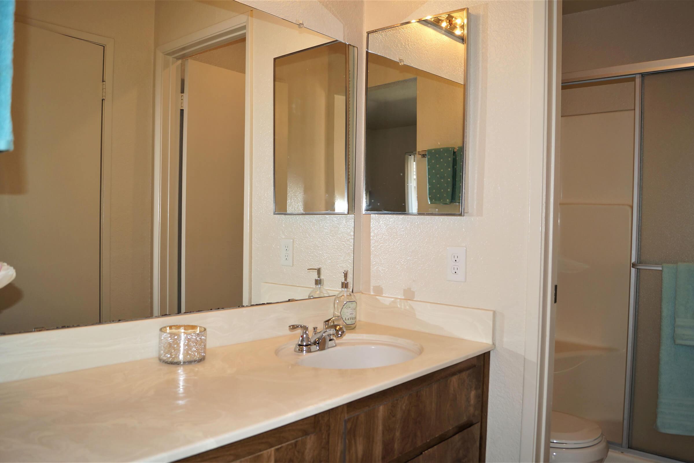 a double sink and large mirror