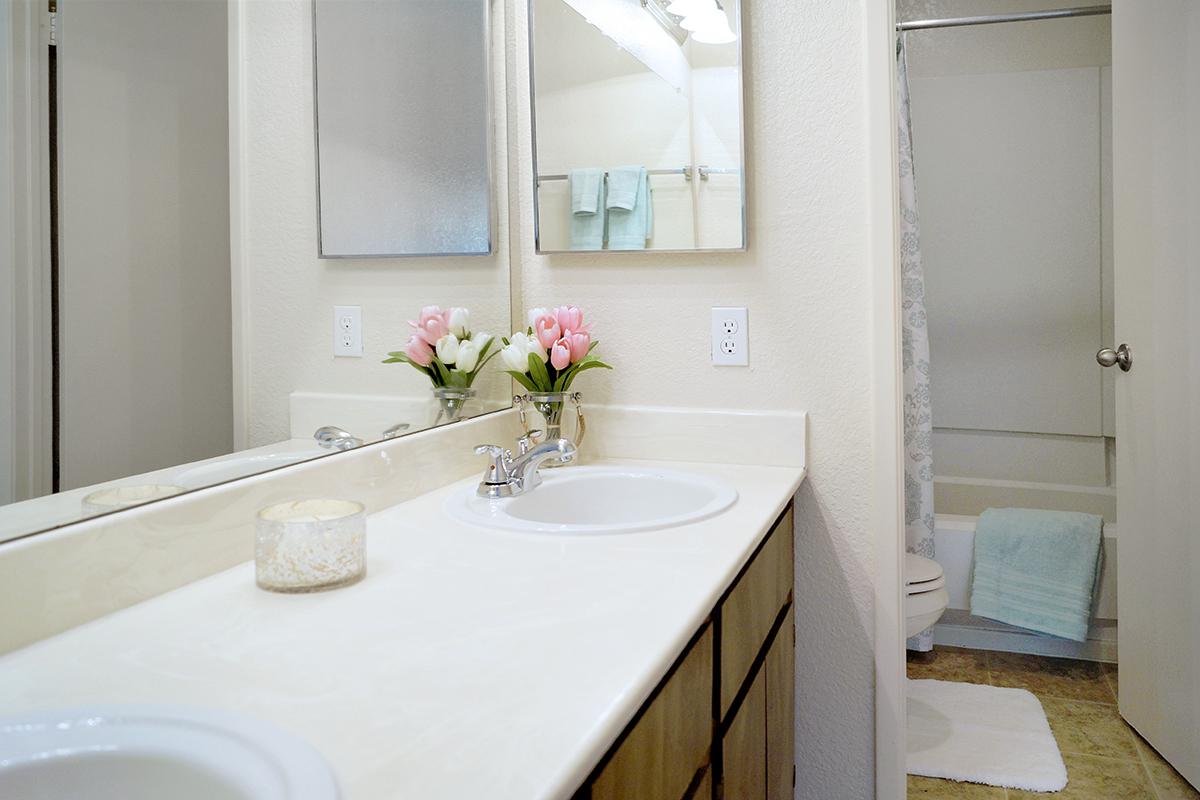 a white sink sitting under a mirror