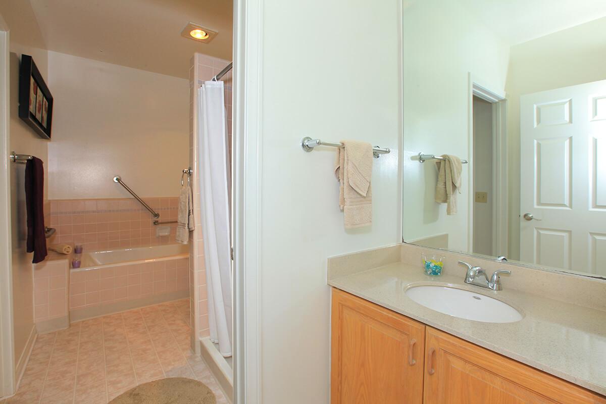 a room with a sink and a mirror