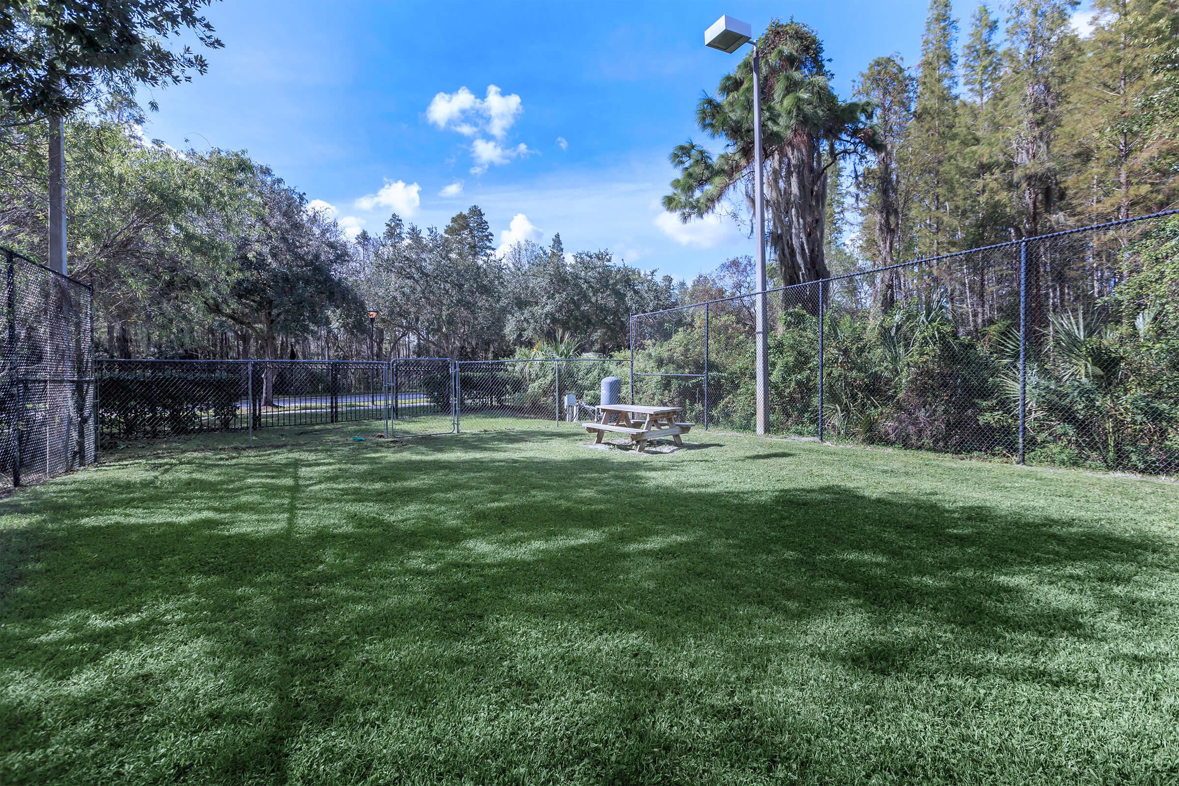 Pet-friendly Community AT The Marquis Of Tampa In Tampa, FL
