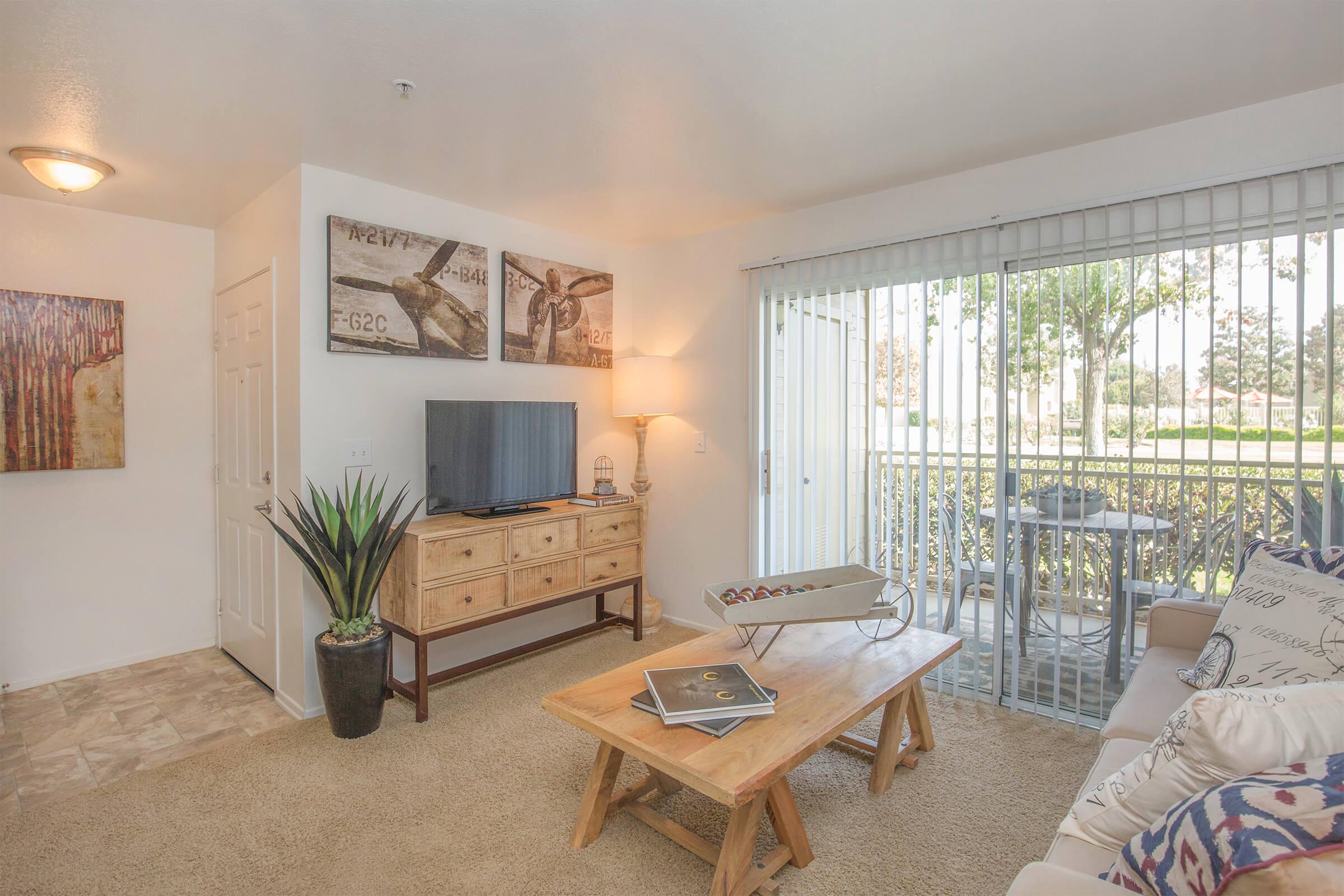 apartment living room with TV and sliding door showing the Patio