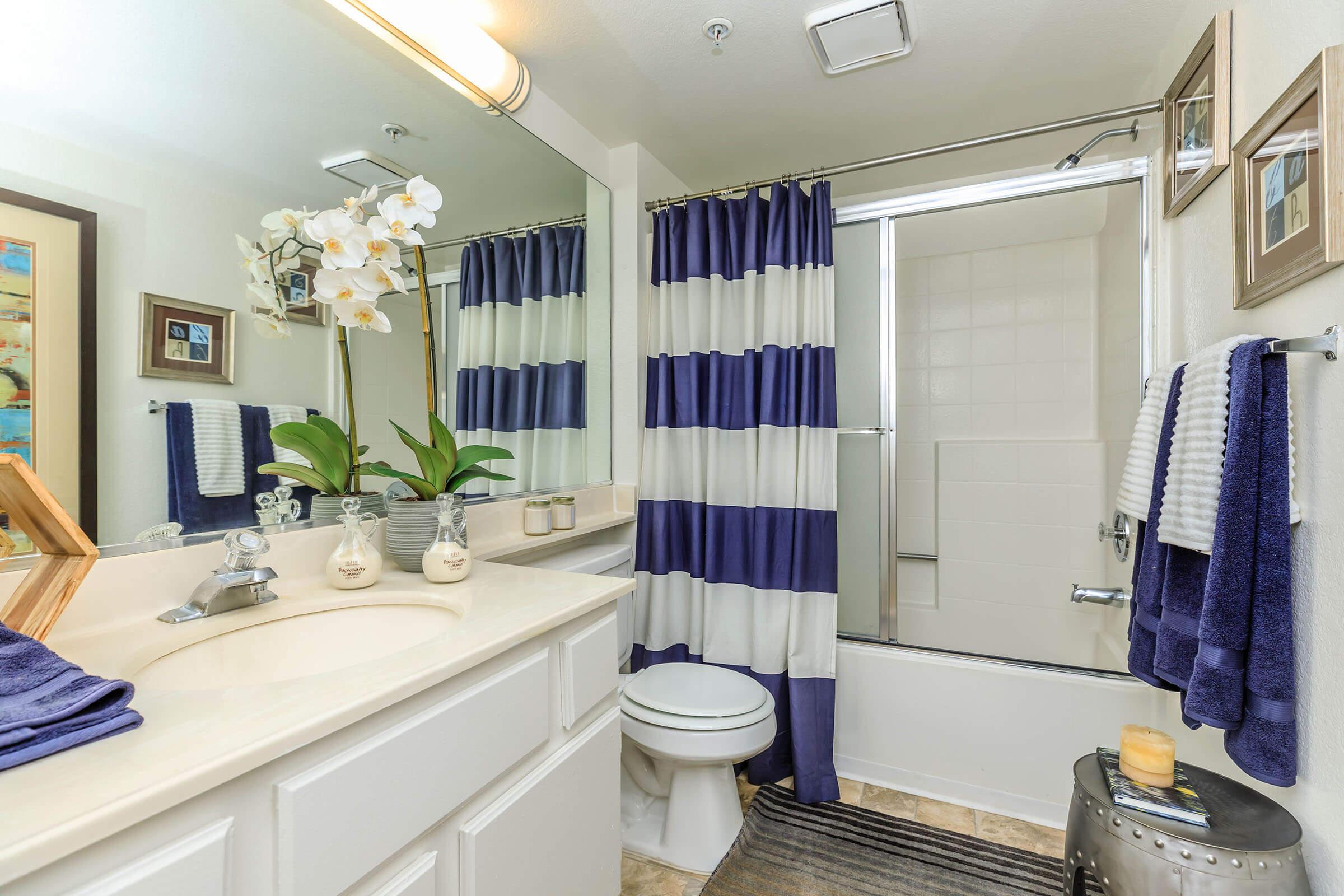 Bathroom with blue and white shower curtain