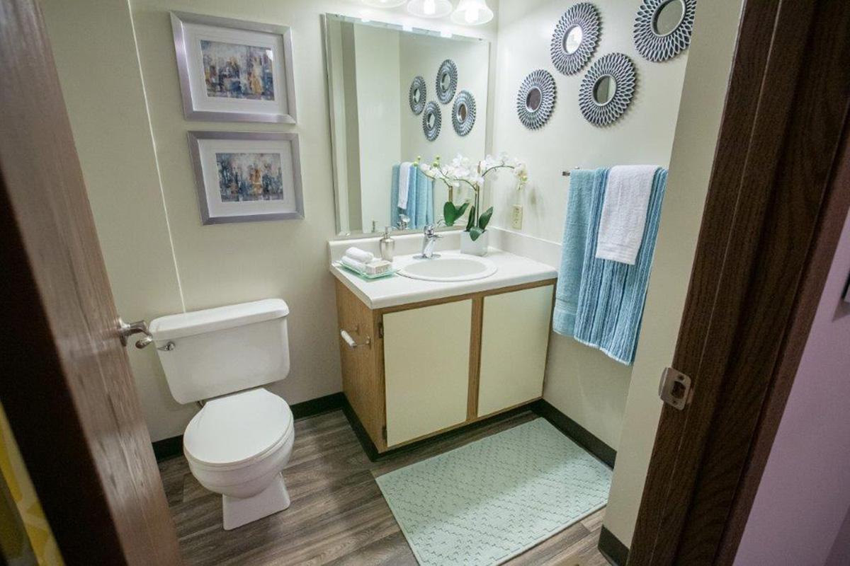 a white sink sitting under a mirror