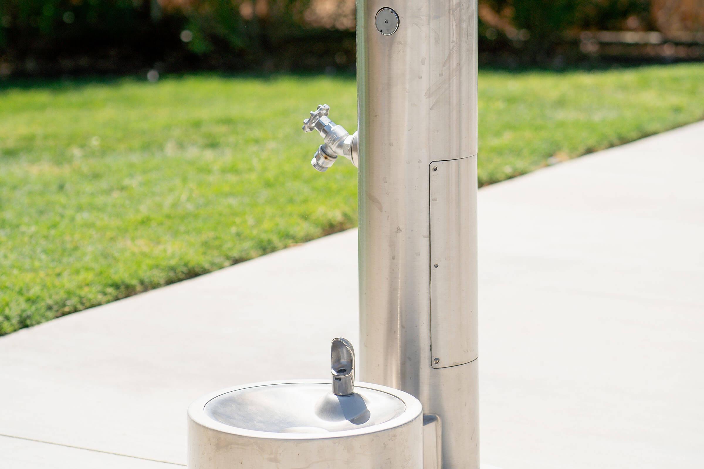 a silver fire hydrant sitting in the grass