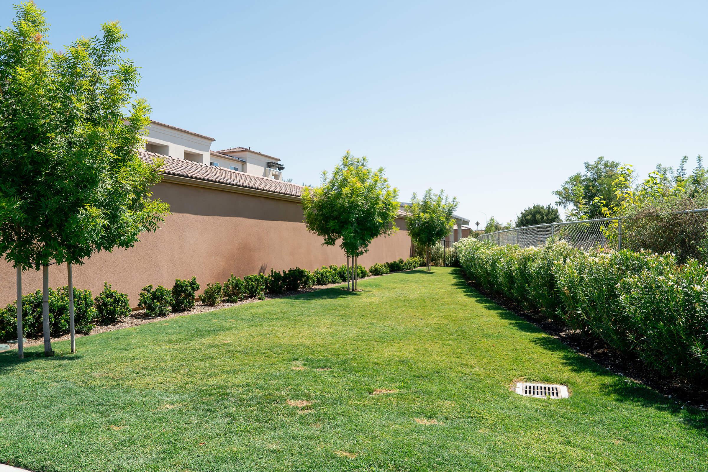 a garden in front of a green field