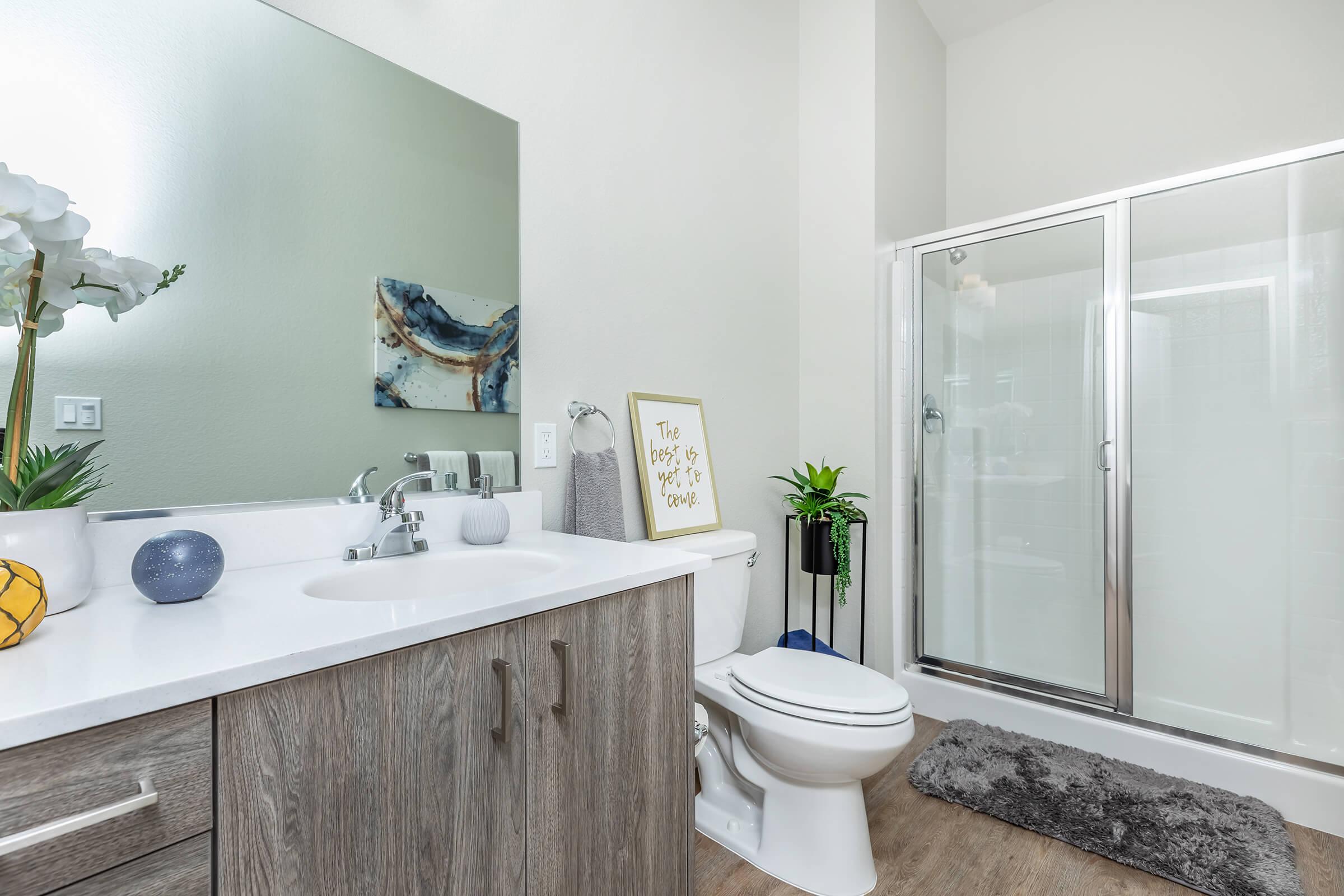 LARGE BATHROOMS MAKE FOR STYLISH LIVING