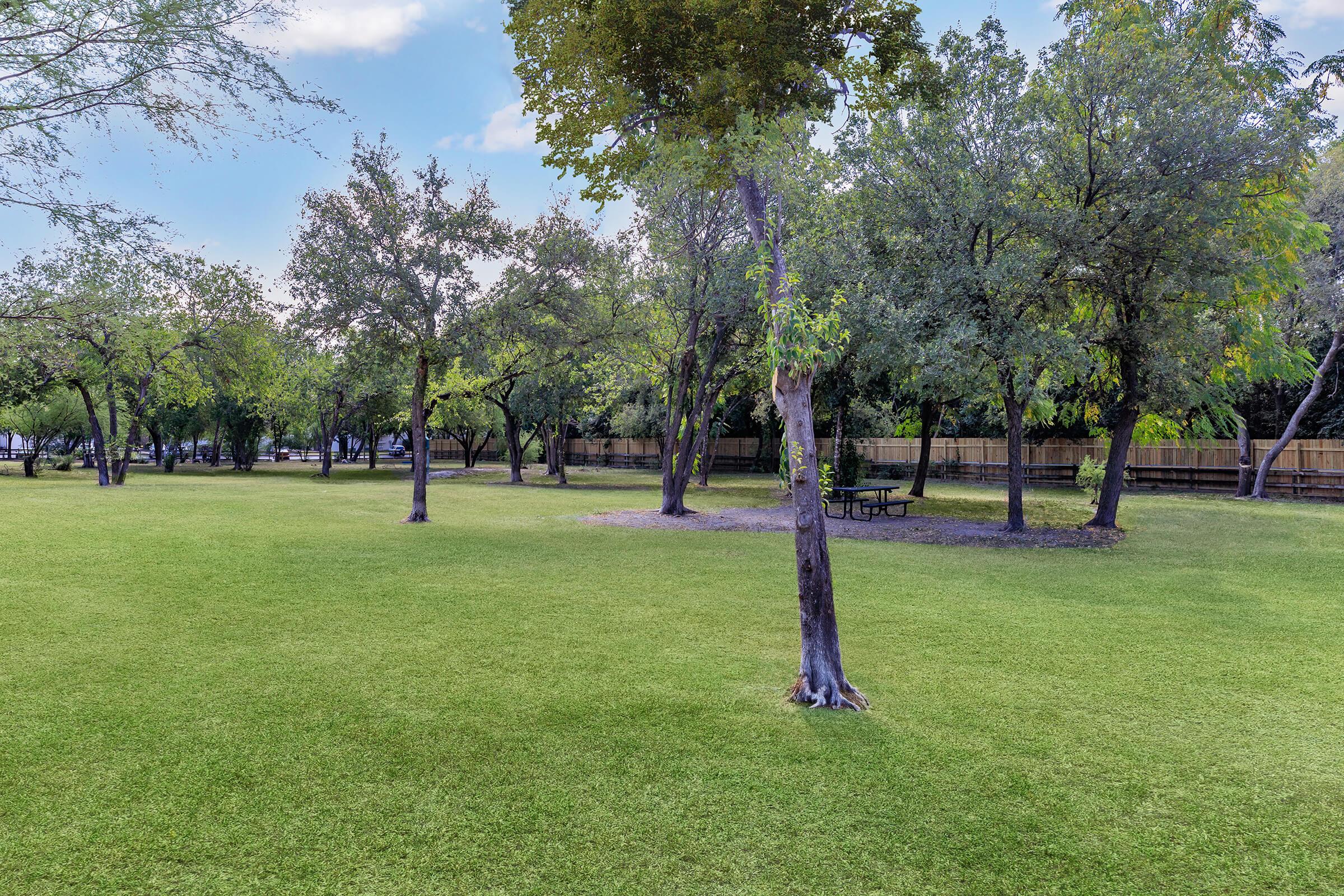 A serene park scene featuring a grassy lawn surrounded by trees, with a few scattered picnic tables in the distance. The vibrant greenery and open space create a tranquil atmosphere under a blue sky with soft clouds.