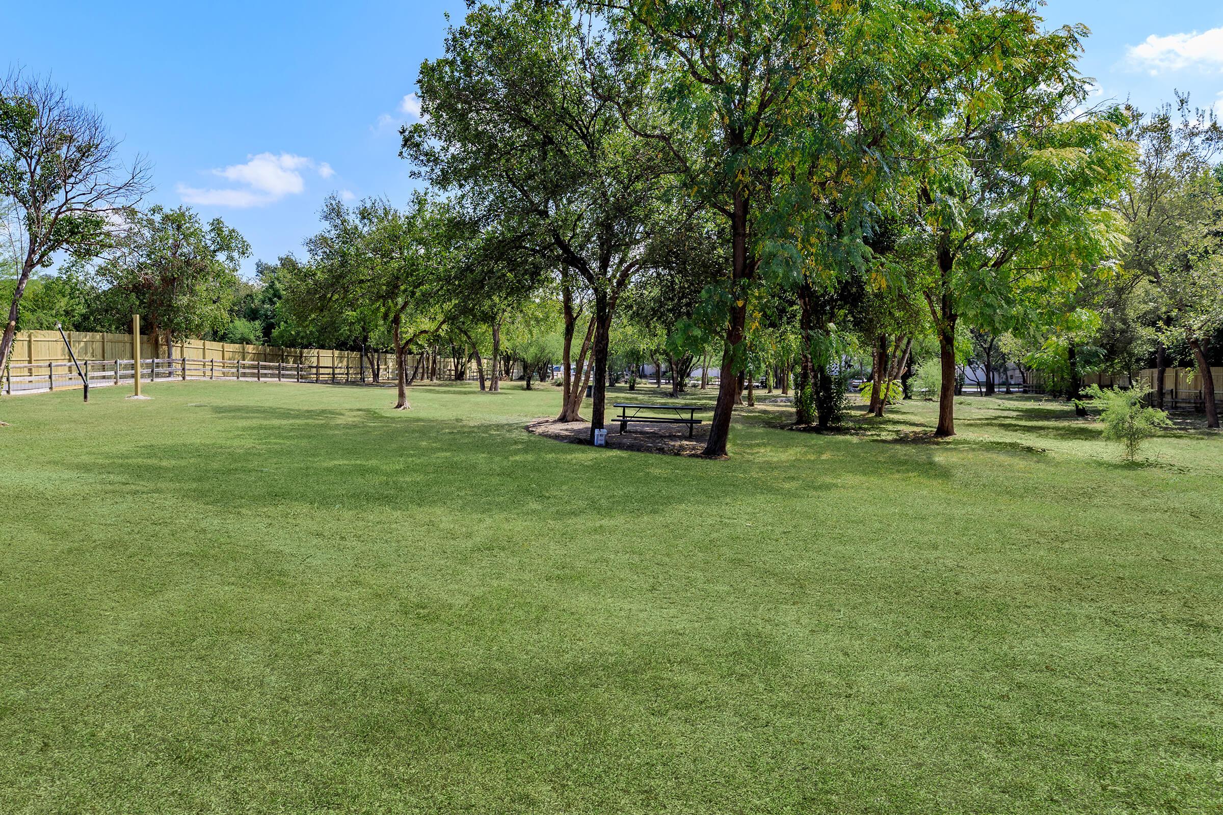 A spacious green park featuring lush grass, scattered trees, and a clear blue sky. The area is well-maintained with a fence in the background, inviting a serene outdoor atmosphere, ideal for recreation or relaxation.