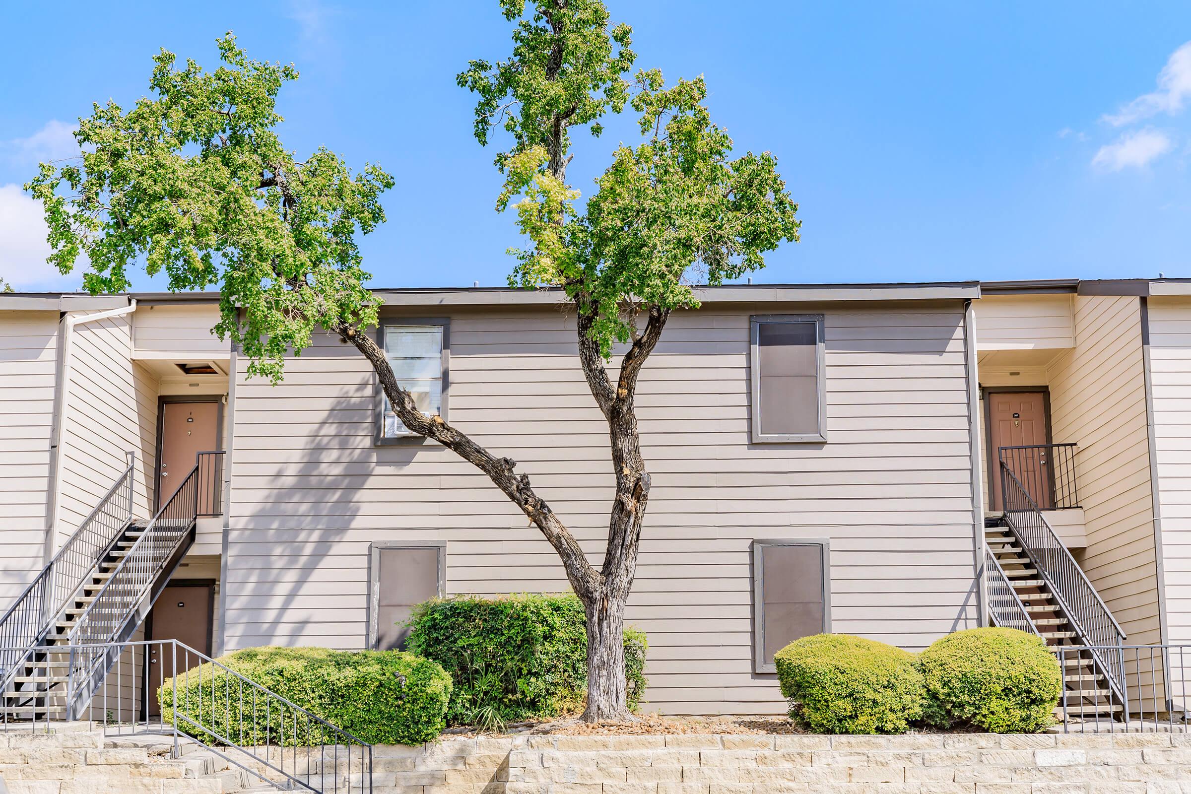 A two-story residential building with a light gray exterior, featuring multiple windows and two staircases leading to the entrances. A large tree stands in front, surrounded by neatly trimmed bushes and a stone-bordered area. The sky is clear and blue.