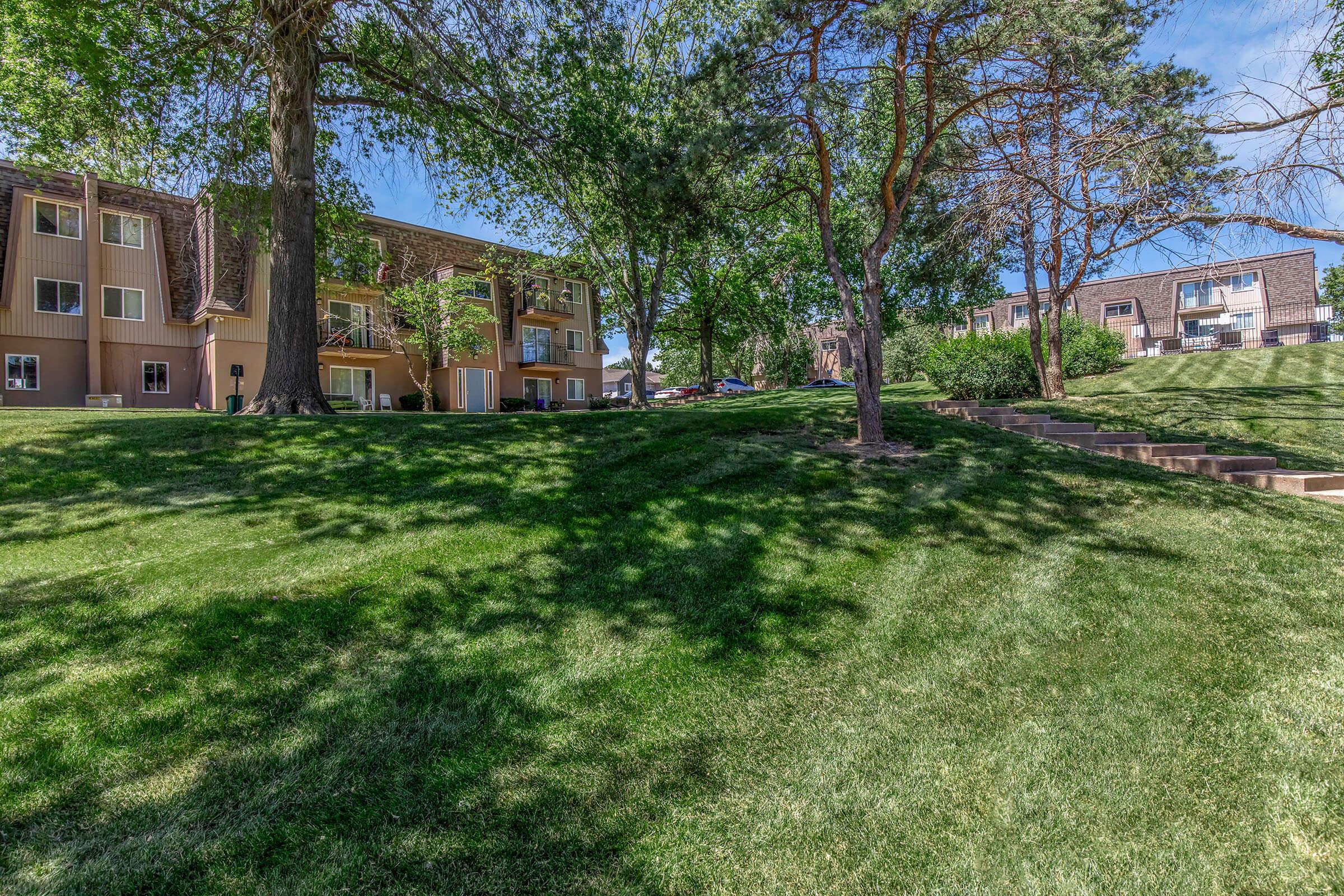 a large lawn in front of a tree