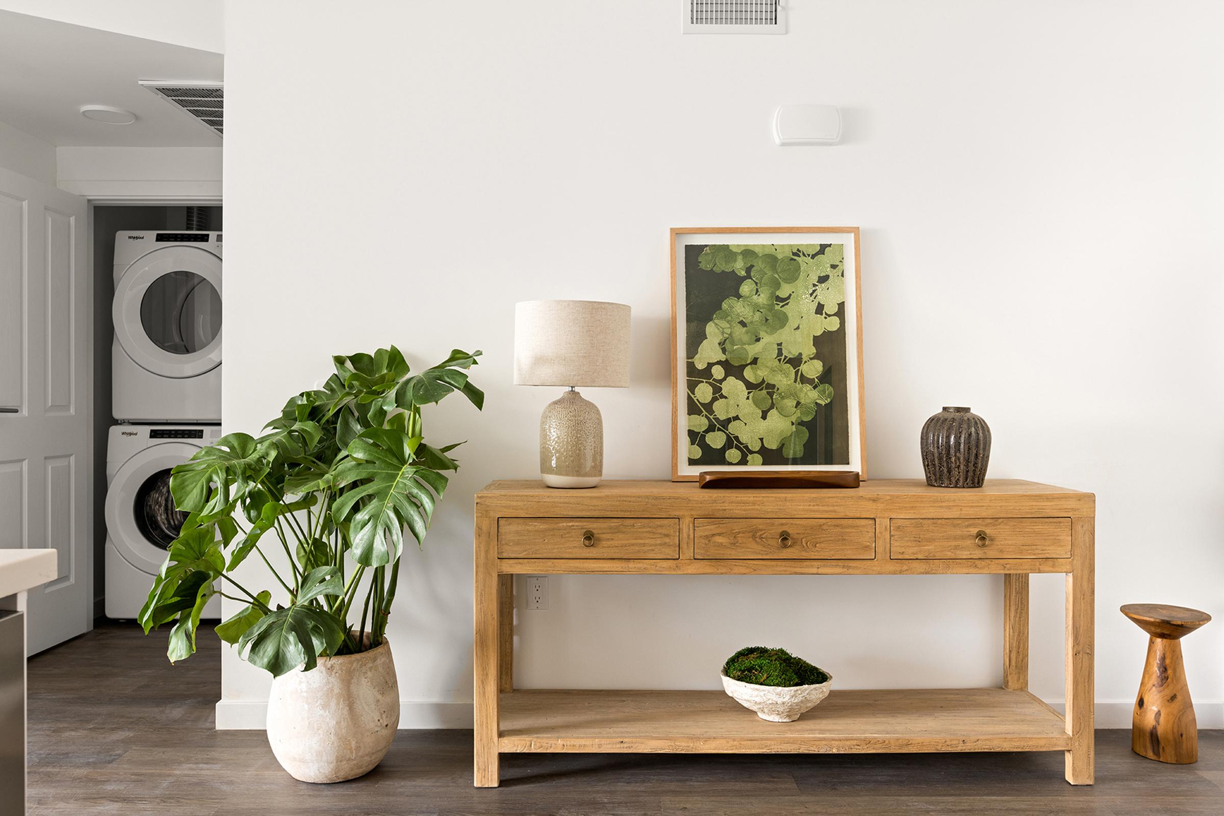 A wooden console table with three drawers holds a decorative tray, a lamp, and two vases. A framed artwork featuring green foliage is displayed above. A large potted plant is positioned beside the table. In the background, a laundry area with stacked appliances is visible. The space has a modern, minimalistic aesthetic.