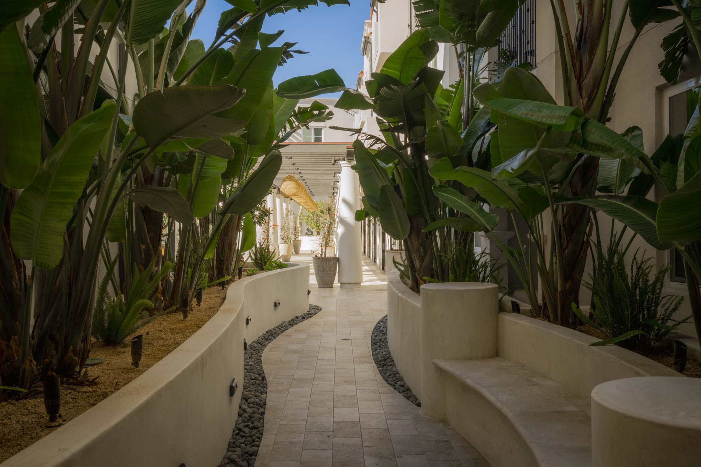 A serene narrow pathway lined with large green leaves and tropical plants, featuring smooth white walls and a light stone floor. The path gently curves, leading towards a bright open space with a splash of blue sky visible above. Decorative planters are placed along the edges, enhancing the tranquil atmosphere.
