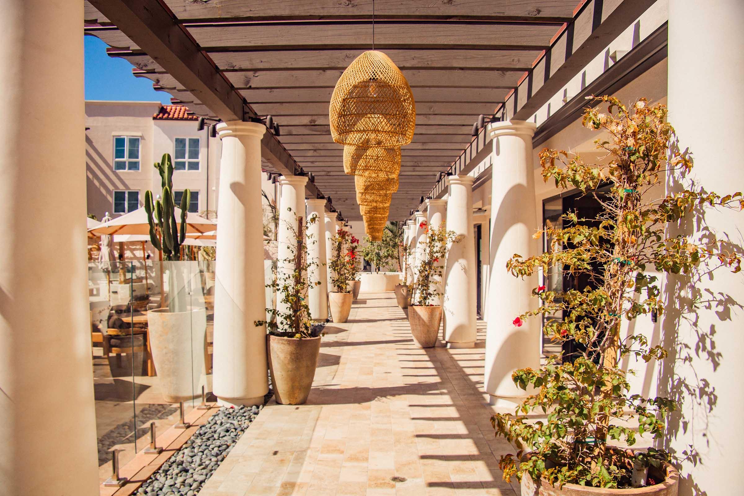 A sunlit corridor featuring elegant hanging woven light fixtures, lined with cylindrical planters filled with greenery and colorful flowers. Columns support a wooden overhead structure, while a bright sky is visible in the background, enhancing the tranquil ambiance of the outdoor space.