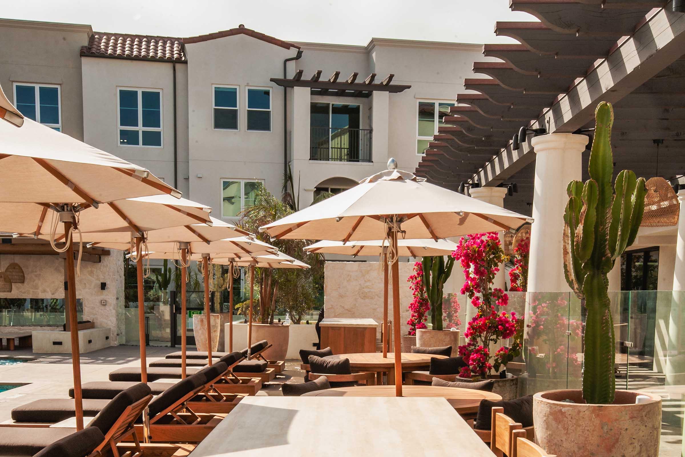 A sunny poolside area featuring wooden lounge chairs and large umbrellas. In the background, a modern building with balconies is visible. Potted cacti and vibrant bougainvillea plants add greenery and color to the scene, enhancing the relaxing outdoor atmosphere.