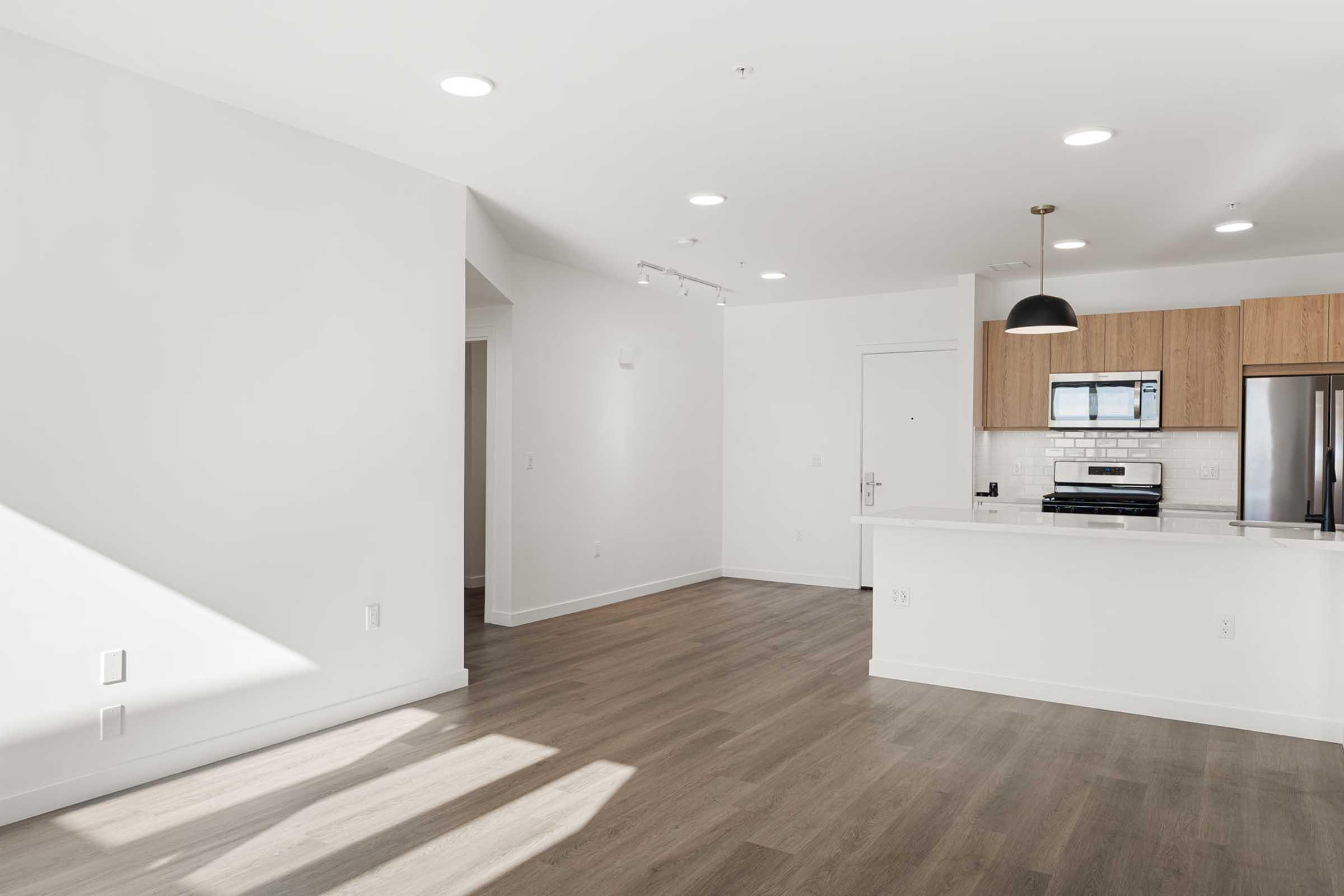 Bright, modern open-concept living space featuring light wood flooring, white walls, and ample natural light. The kitchen includes a sleek countertop, stainless steel appliances, and minimalist cabinetry. A spacious area ideal for living and dining is visible, with a cozy, inviting atmosphere.