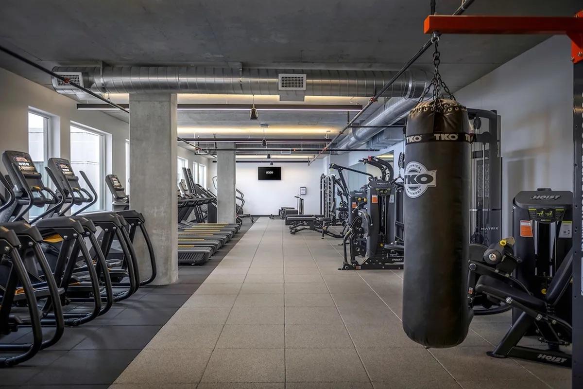 A modern gym interior featuring various exercise equipment, including treadmills, elliptical machines, and weight lifting stations. A punching bag hangs from the ceiling, and there are large windows providing natural light. The space is well-lit and has a clean, industrial design.