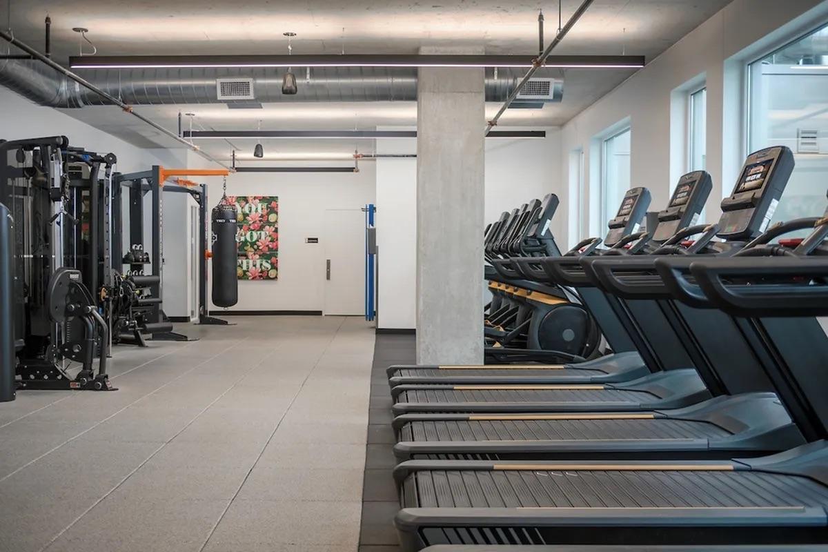 A modern gym interior featuring several treadmill machines lined up against the wall, a variety of strength training equipment on one side, and a punching bag in a corner. The space is well-lit with large windows and has a contemporary design, including fitness-related artwork on the wall.