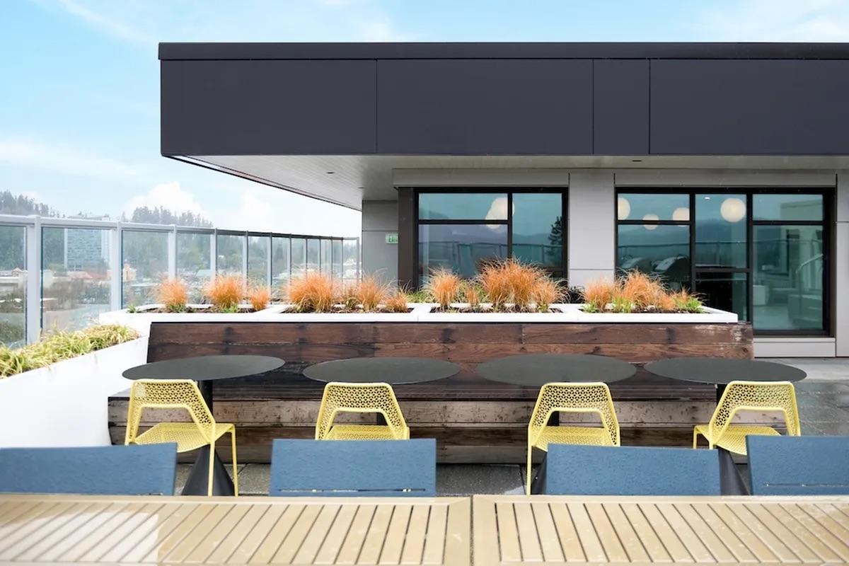 Rooftop terrace featuring modern furniture, including yellow chairs and dark tables. There are planter boxes with decorative grasses and shrubs. The area has a panoramic view with a clear sky and distant hills, creating a stylish and inviting outdoor space.