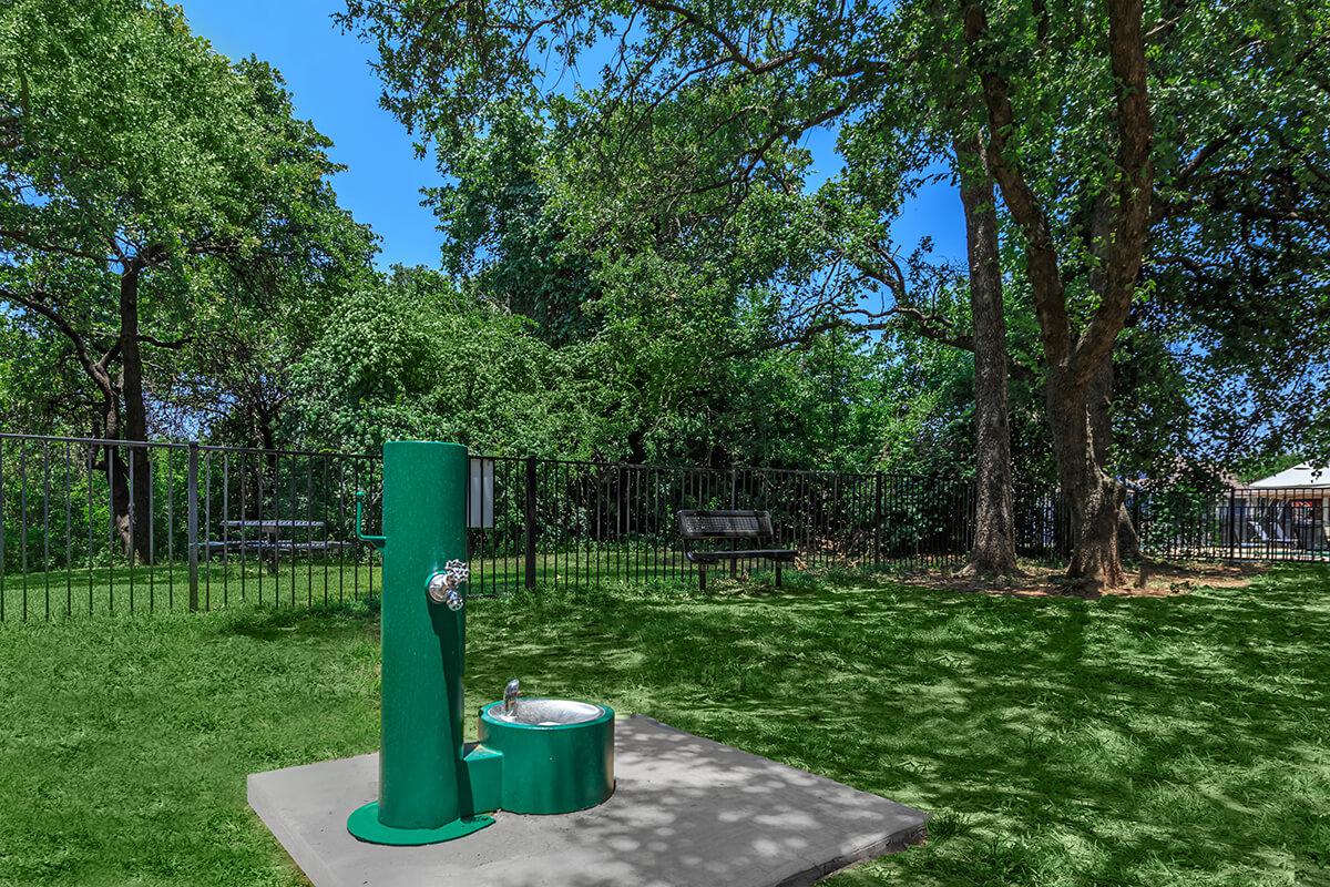 Dog.park.2._MG_0047.jpg