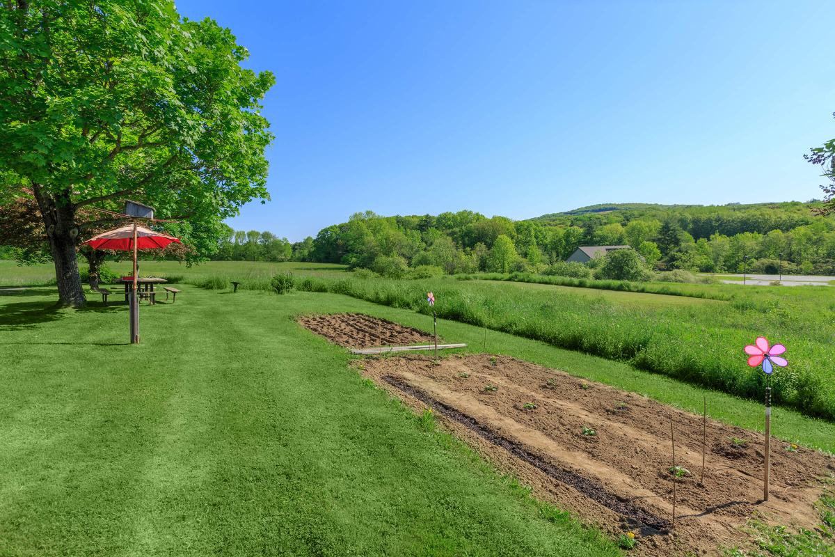 a garden with a red umbrella