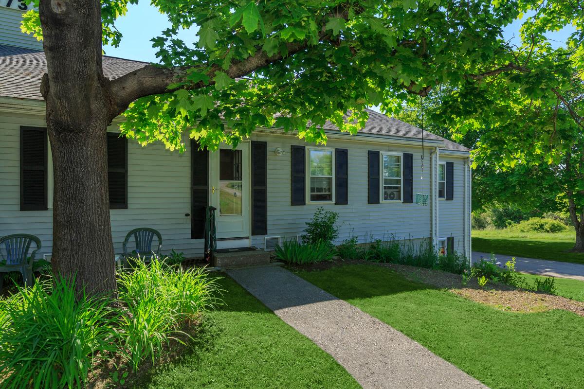 a tree in front of a house