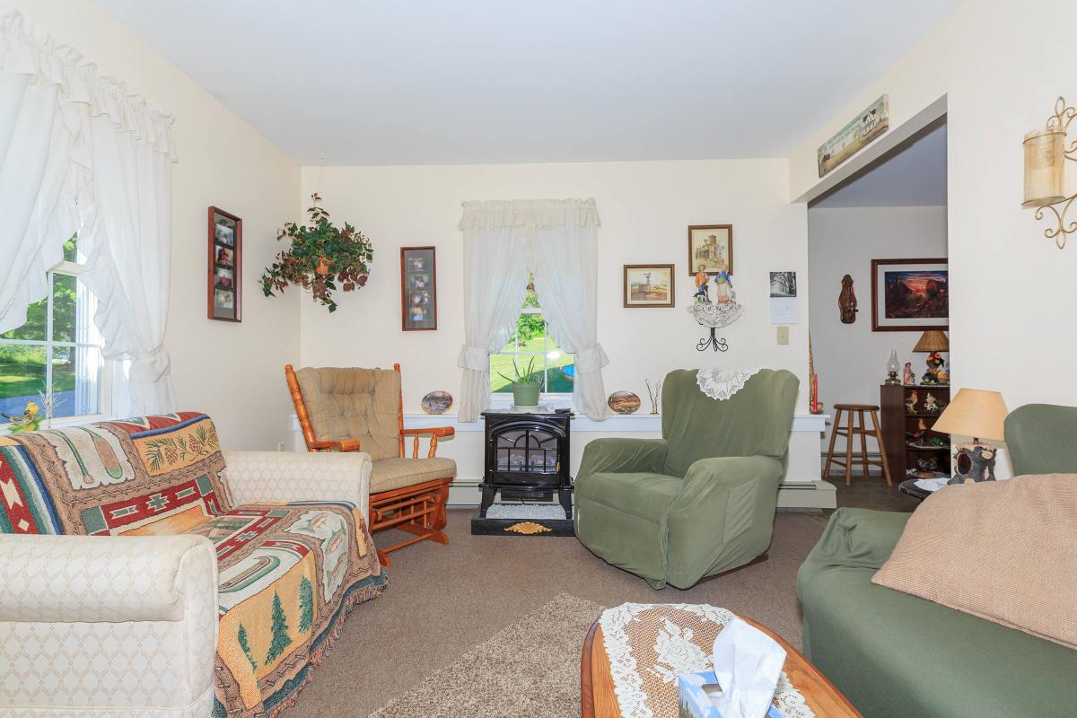 a living room filled with furniture and a fireplace