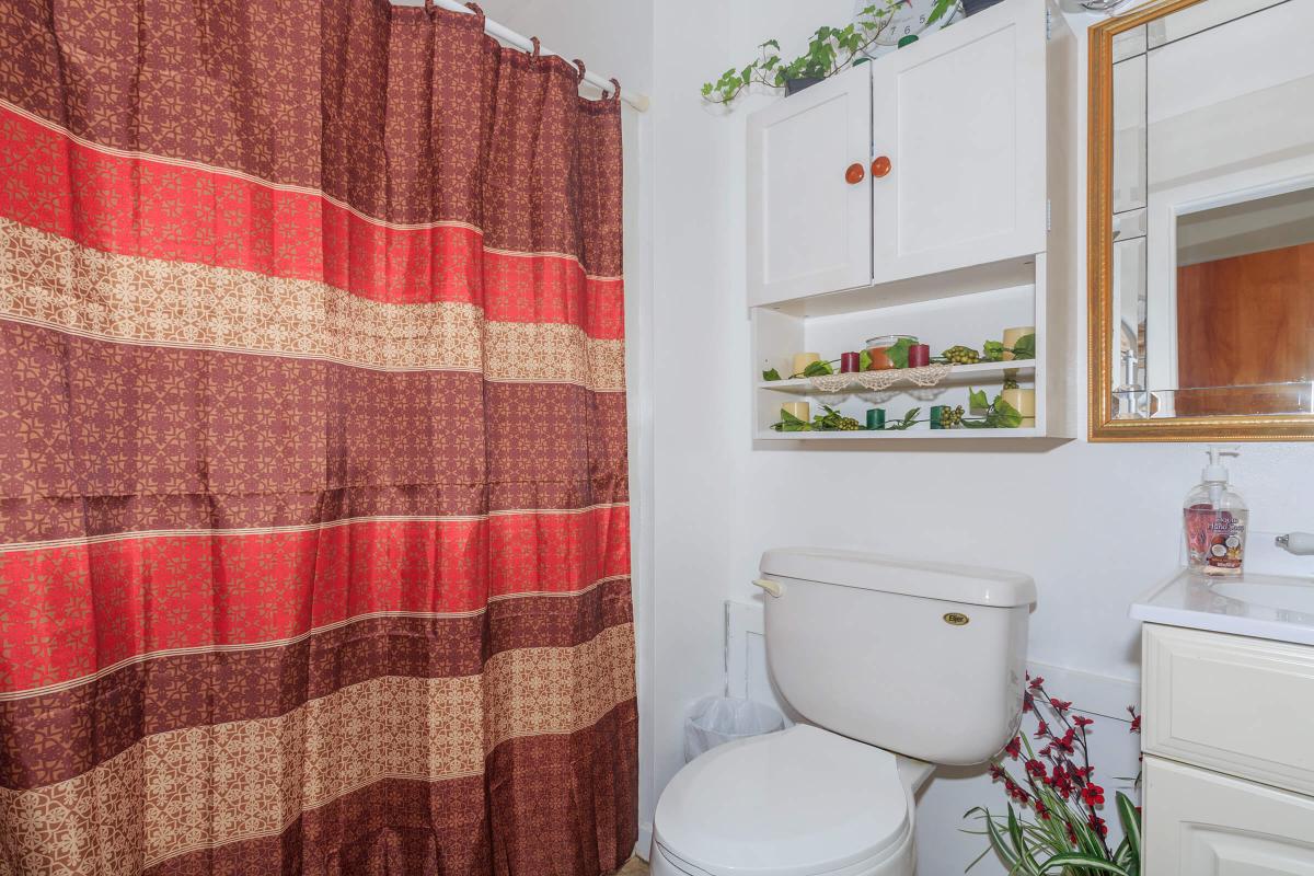 a red and white shower curtain