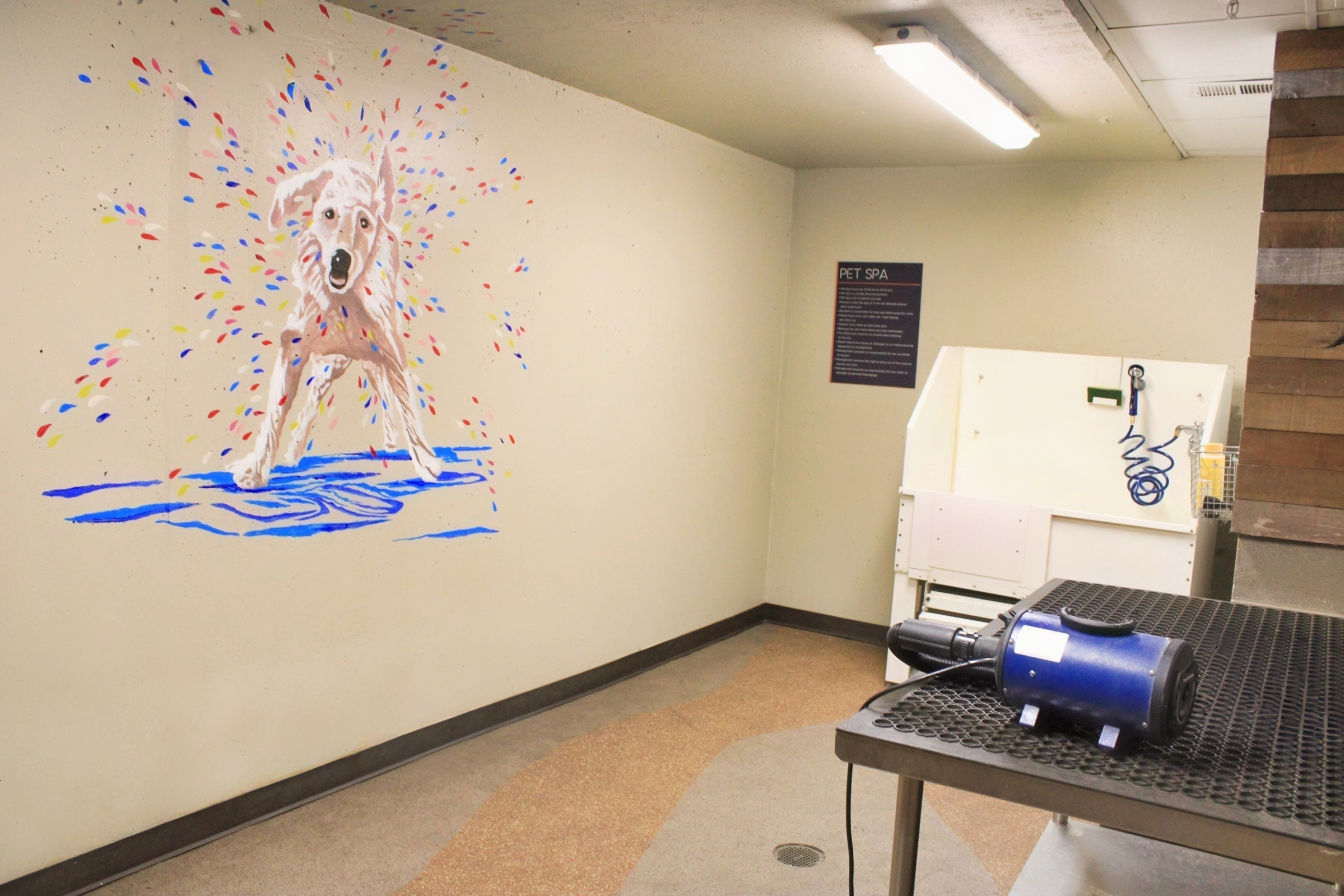 A pet spa room with a mural of a dog splashing in water on the wall. The room features a metal table, a grooming station with equipment, and a sign providing information about the spa services. Brightly colored paint splashes are around the mural, adding a playful touch to the space.