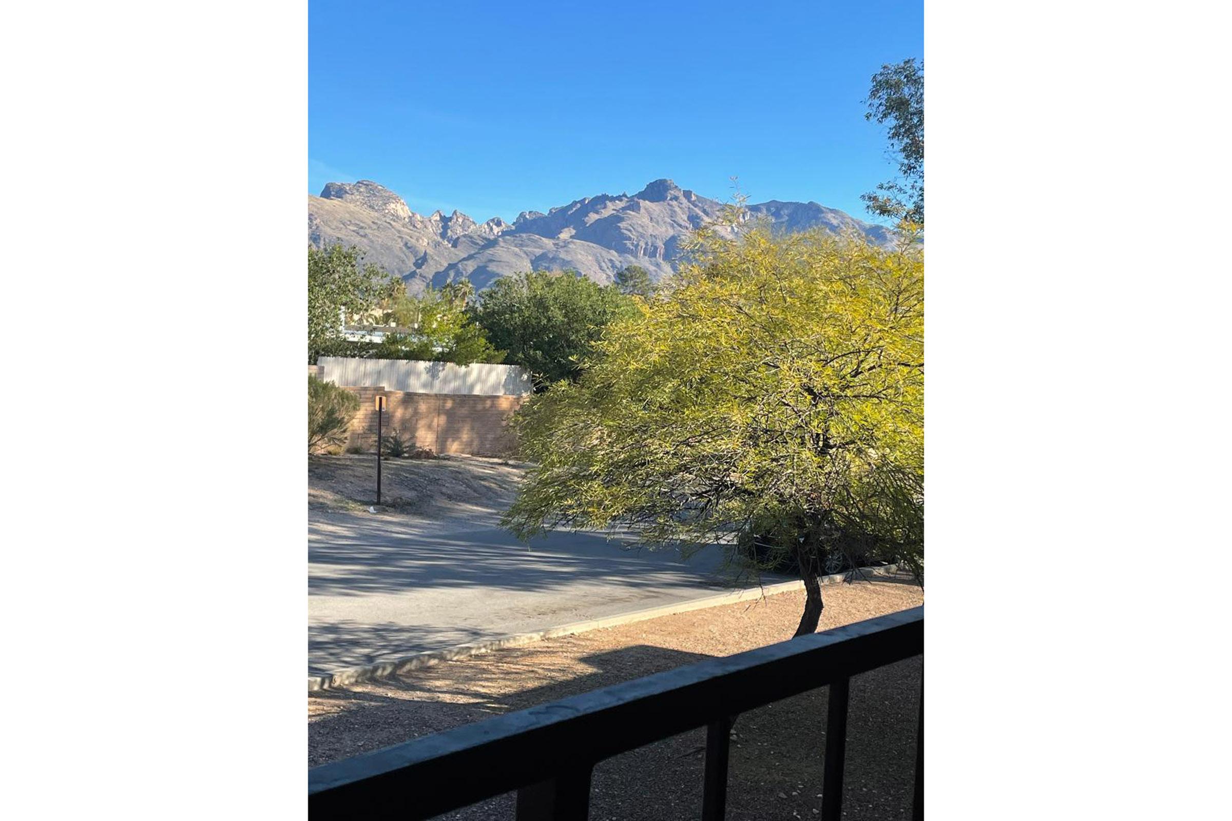 a view of a park bench