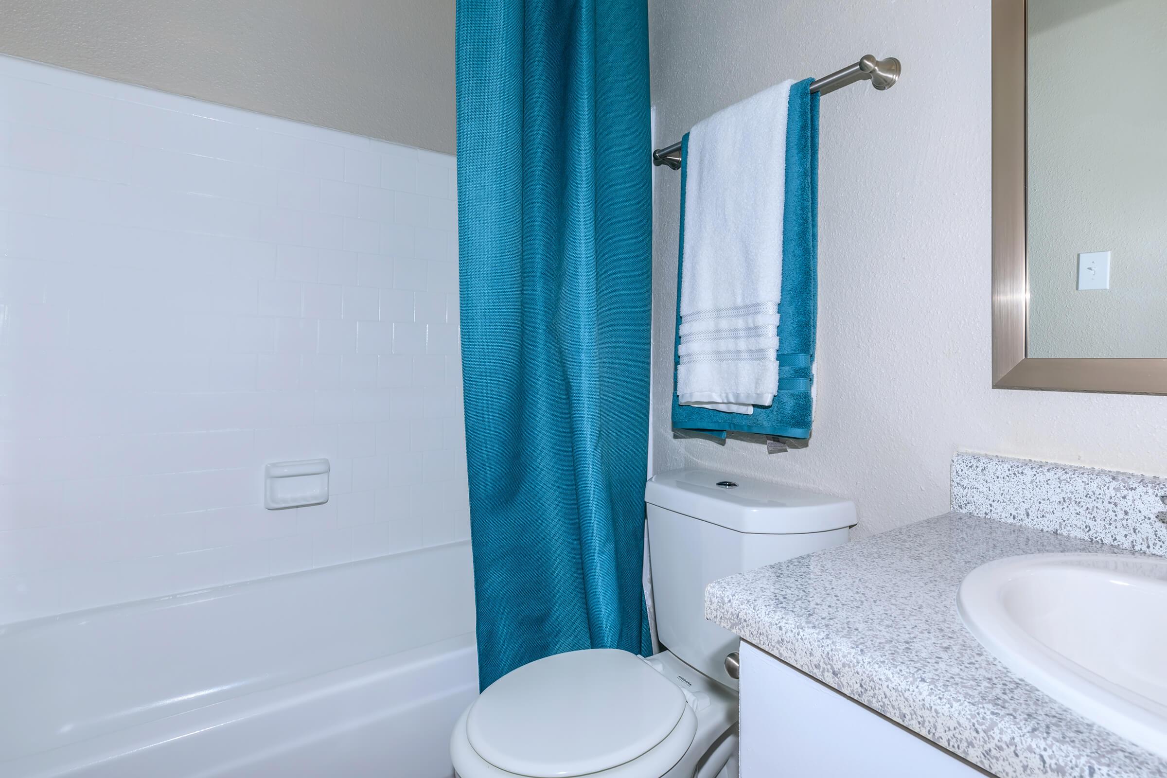 a blue and white shower curtain