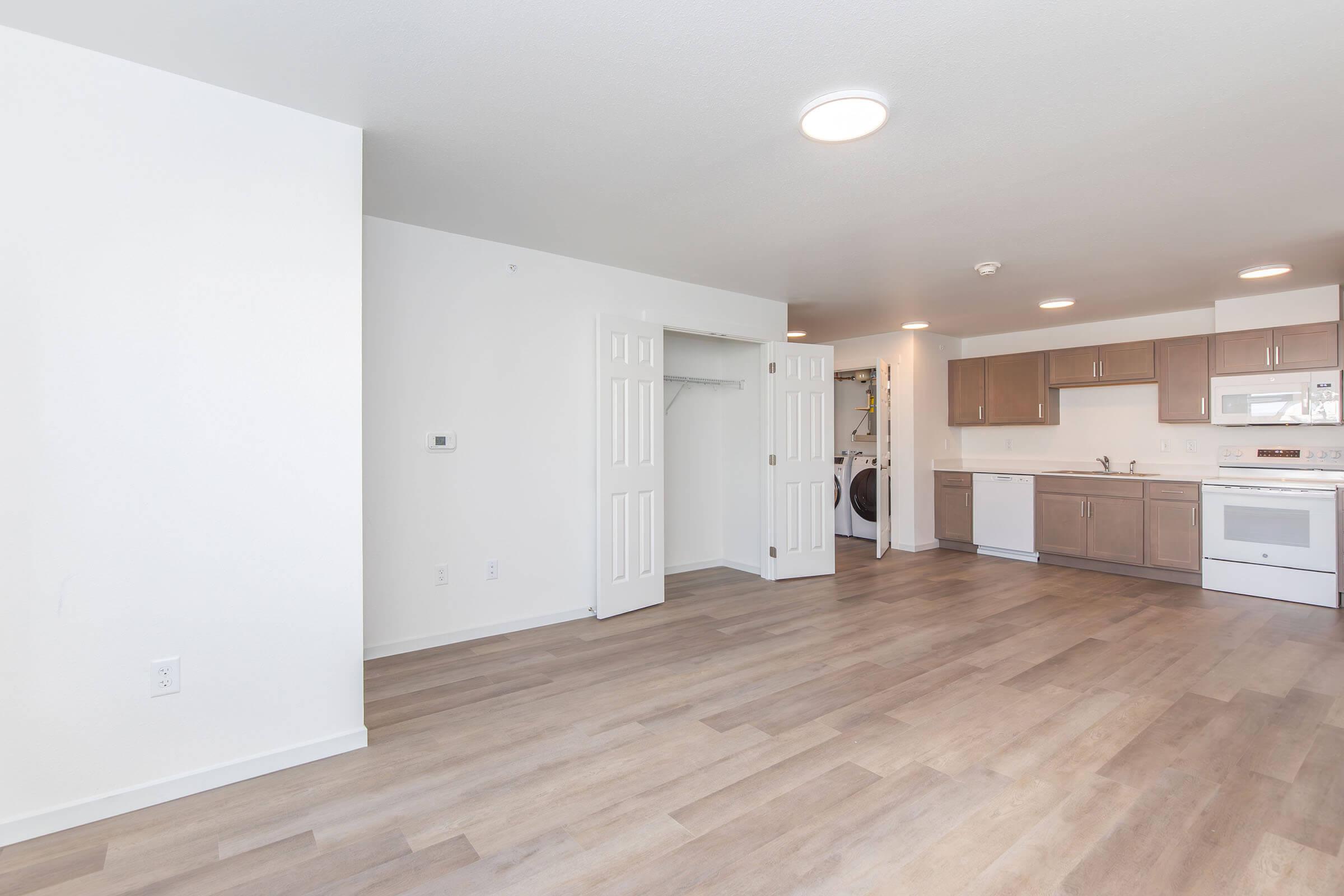 A spacious and modern apartment interior featuring light-colored walls, laminate flooring, and a well-equipped kitchen with wooden cabinets. The living area is bright with natural light, and includes a closet space and appliances like a washer and dryer.