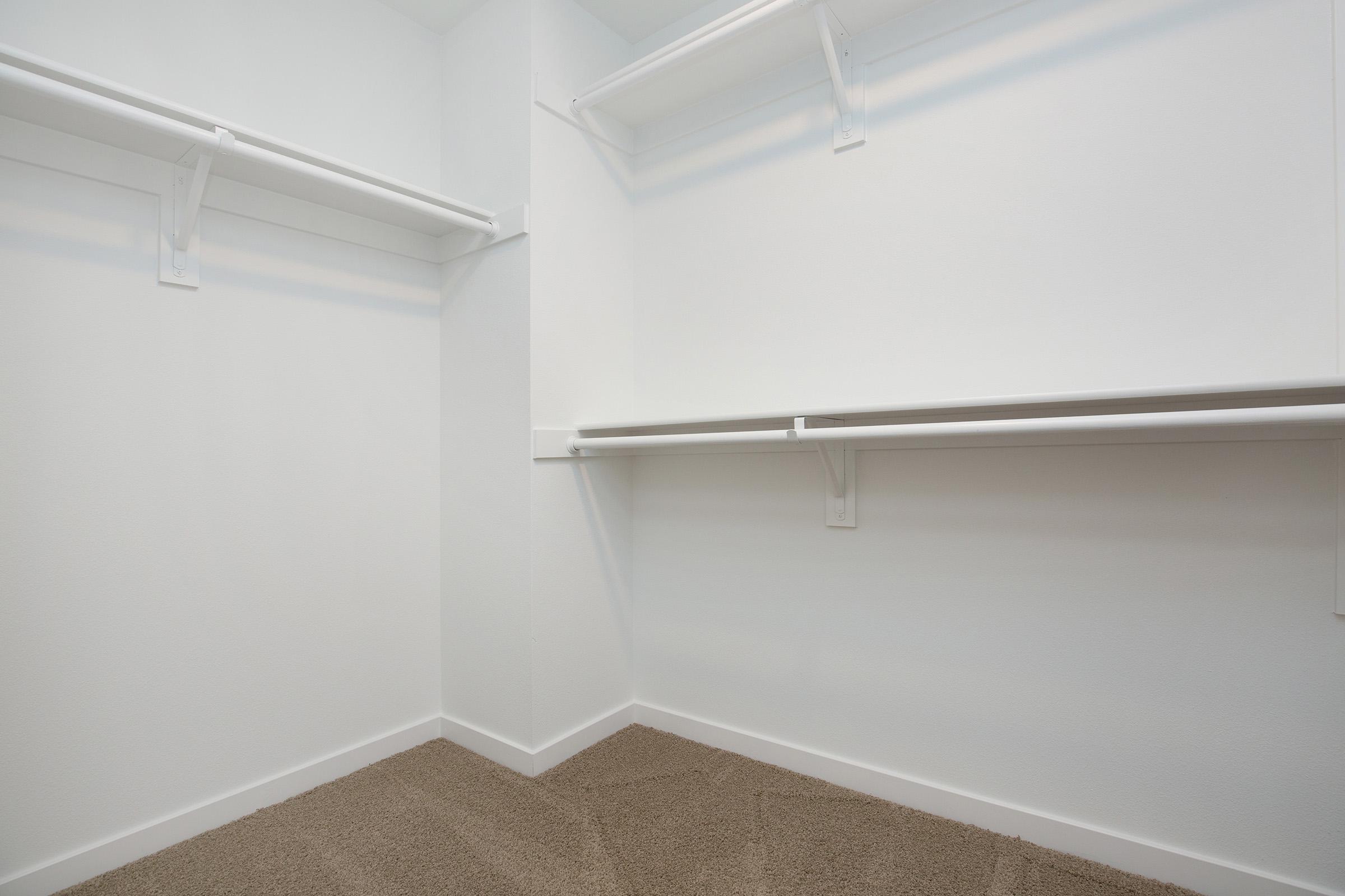 walk-in closet with carpet