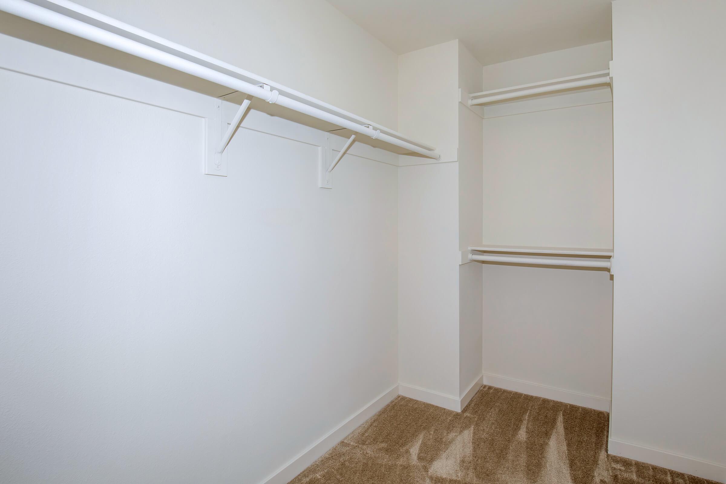 vacant carpeted walk-in closet