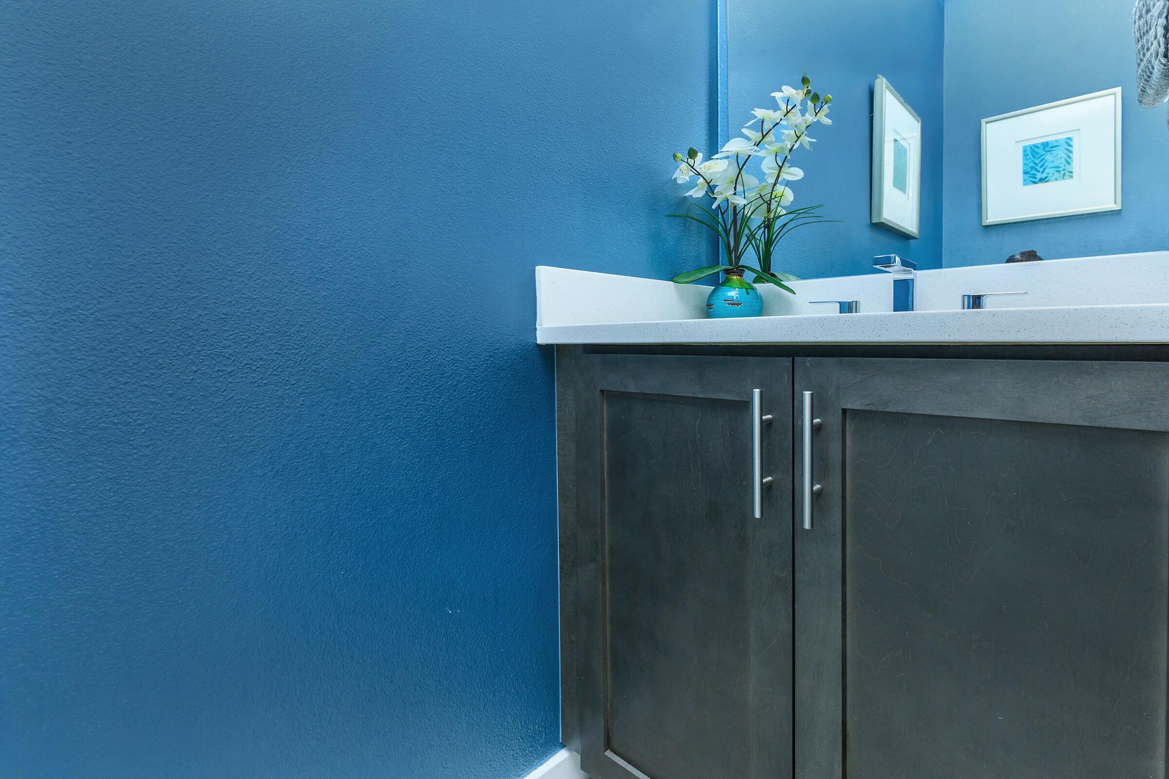 bathroom with blue walls