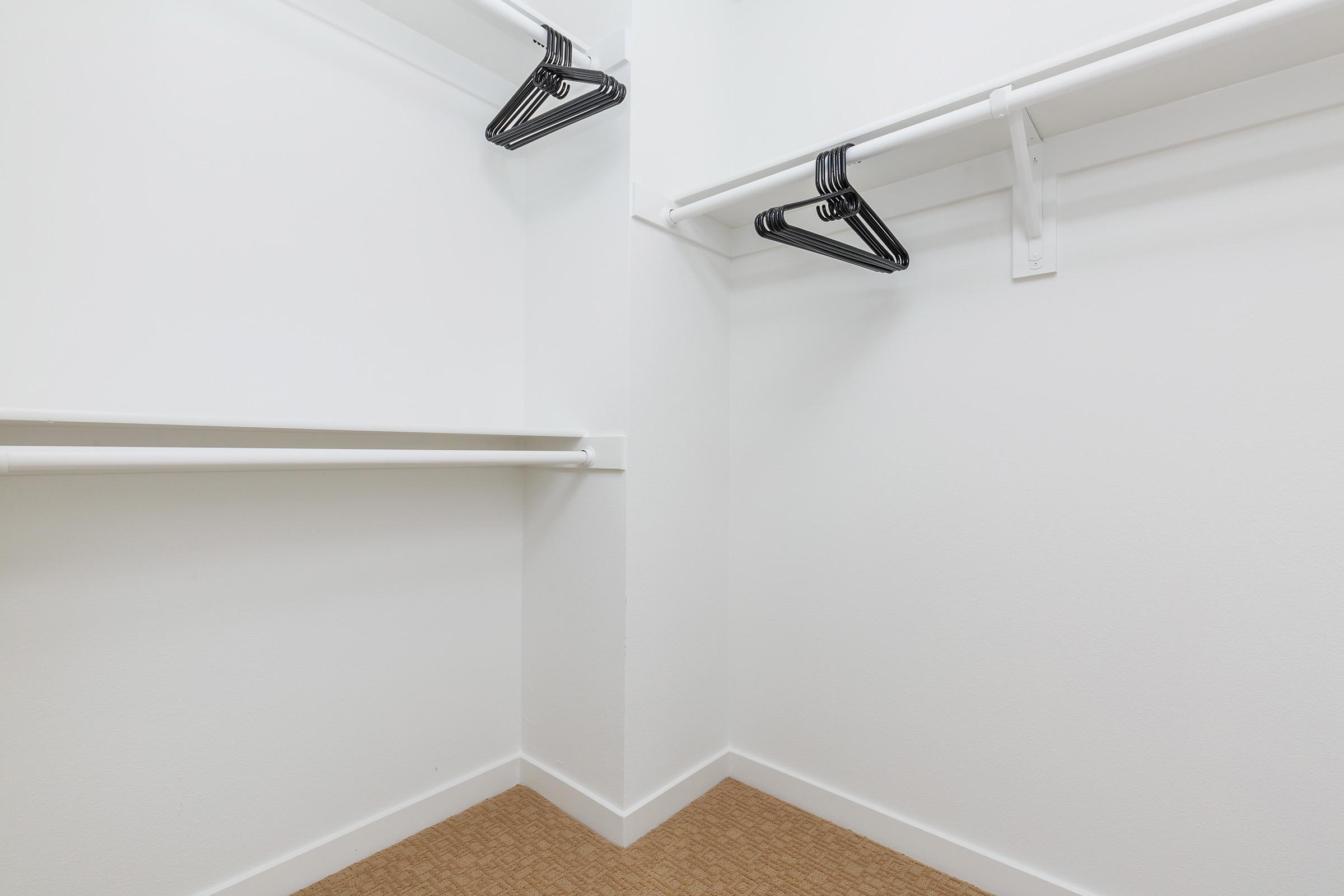 walk-in closet with hangers