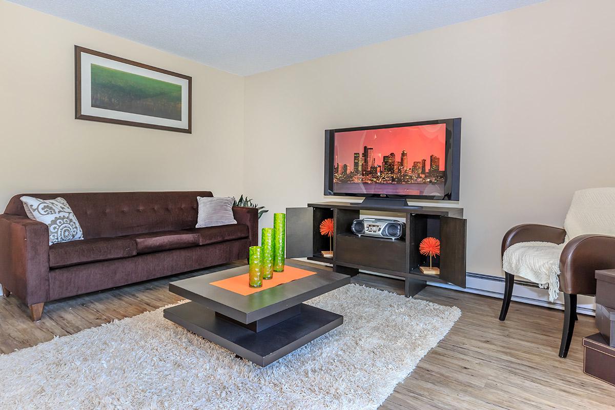 a living room filled with furniture and a flat screen tv