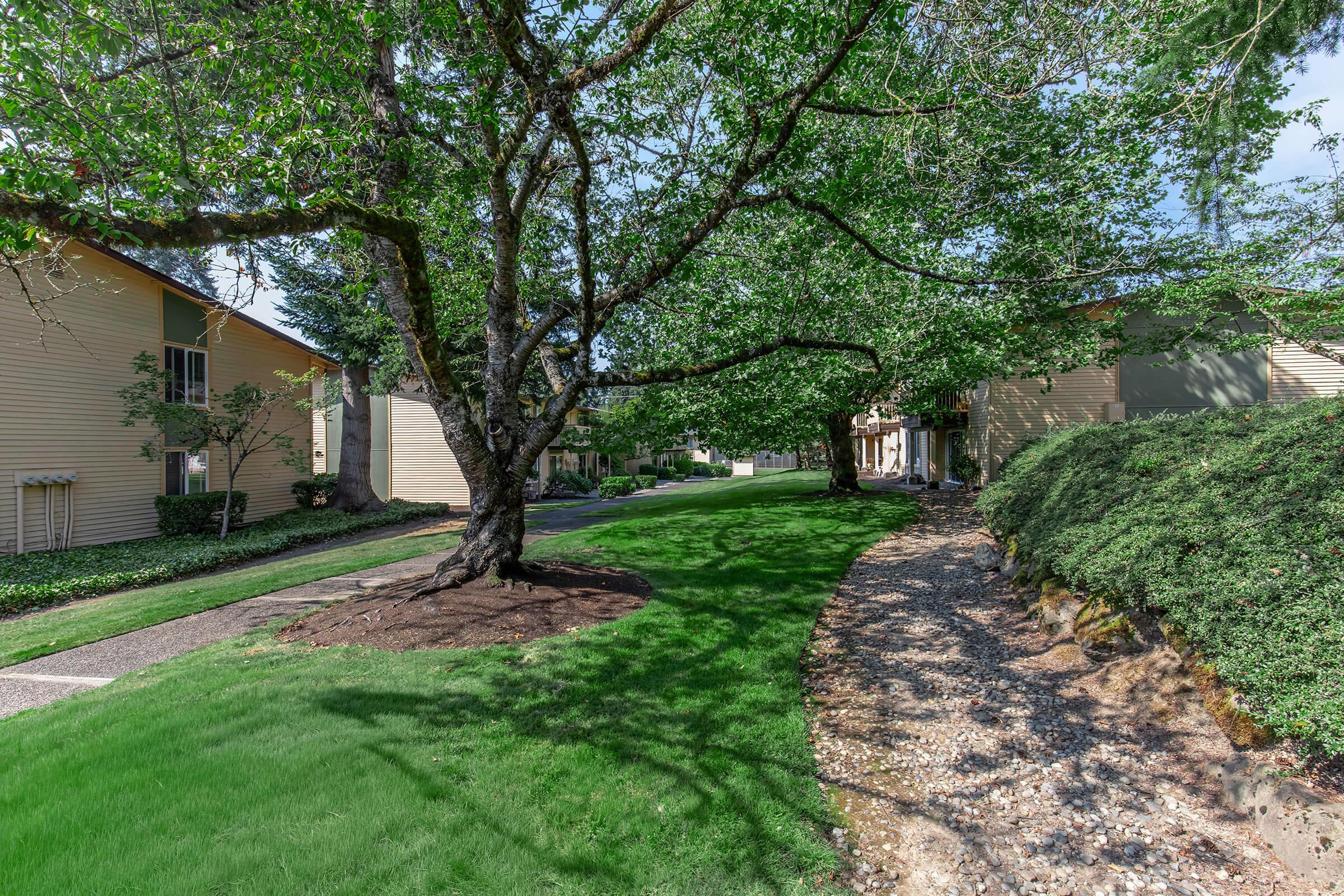 A serene pathway lined with green grass and trees, leading through a residential area. The scene features a large tree offering shade, with nearby buildings visible on either side of the path, surrounded by well-maintained landscaping. The sky is bright, contributing to a peaceful atmosphere.