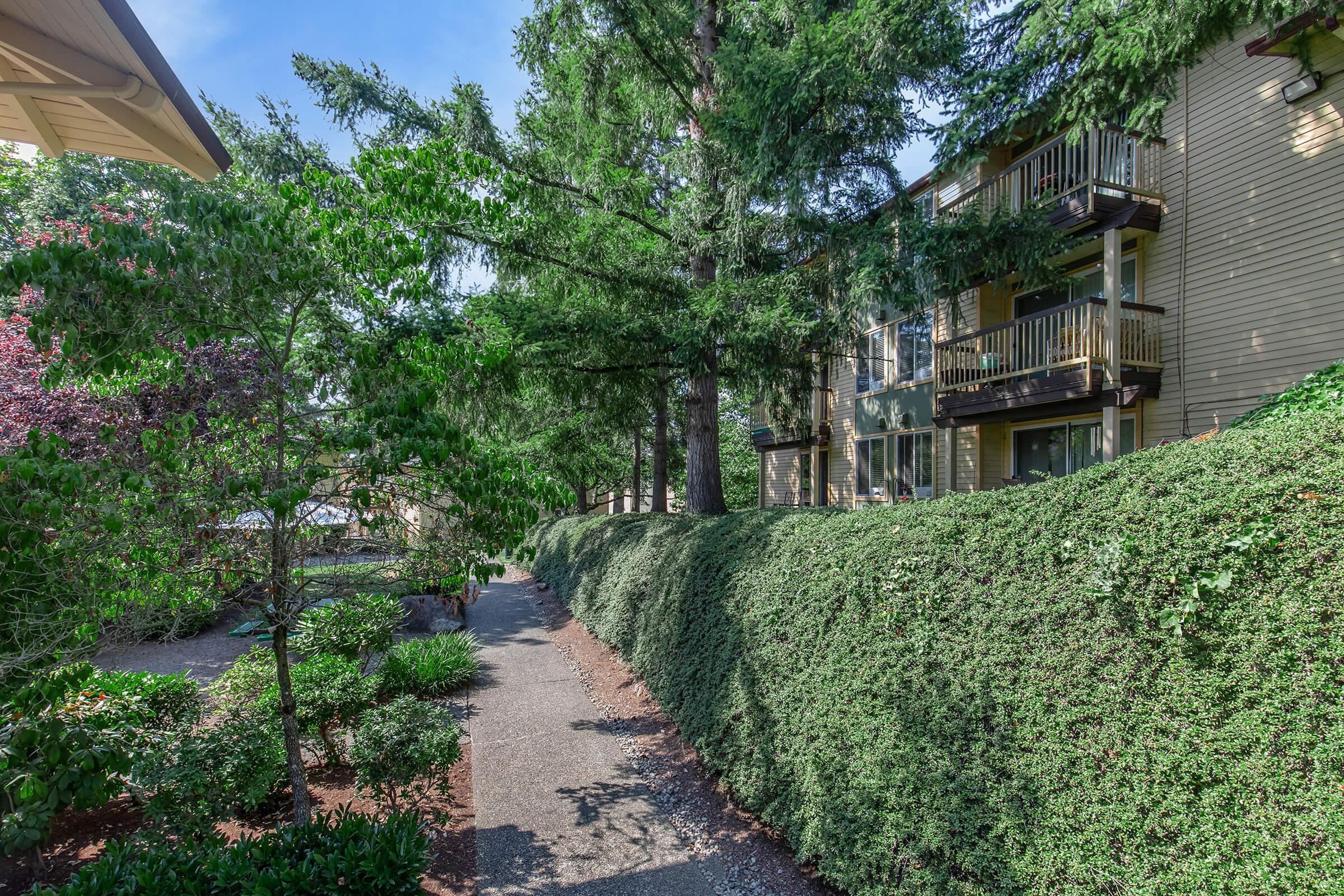 A pathway lined with lush greenery leads past apartment buildings partially obscured by hedges. Tall trees provide shade, creating a serene and inviting atmosphere. The scene suggests a peaceful residential setting with well-maintained landscaping.