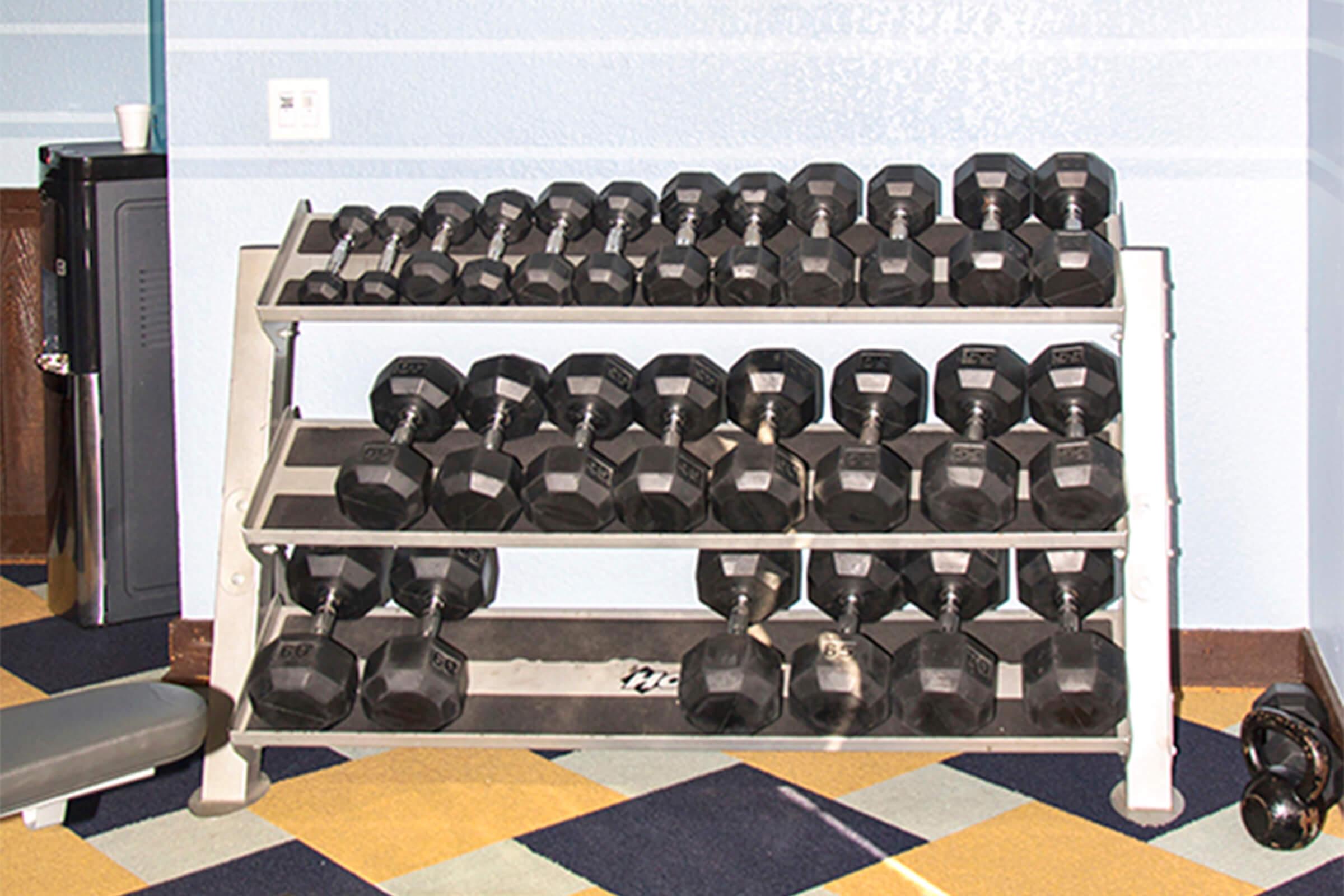 A rack filled with various sizes of black dumbbells, arranged neatly in three tiers. The rack is located in a gym or fitness area, with a water cooler and exercise bench visible in the background. The floor features a colorful geometric carpet design.