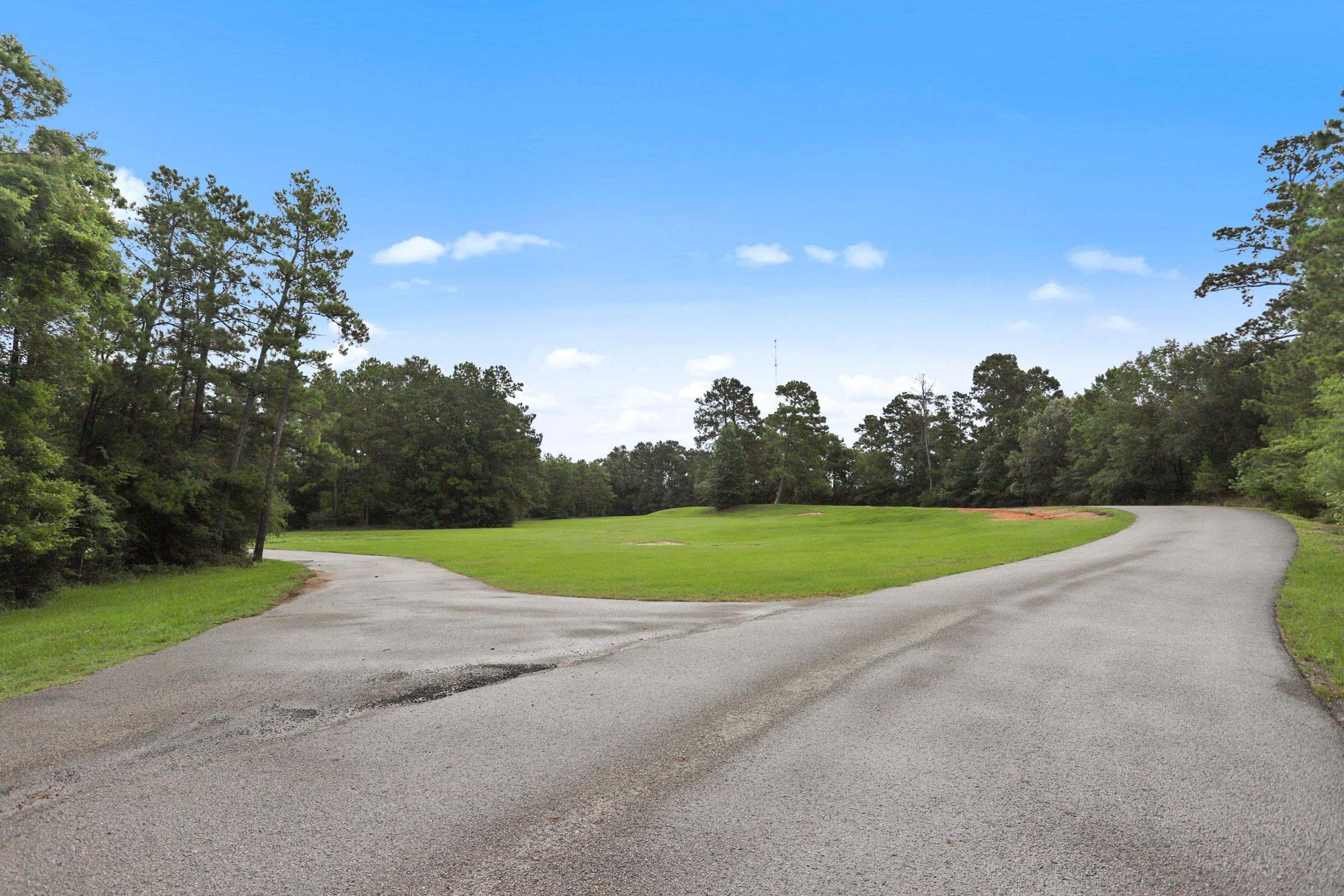 A fork in a paved road surrounded by lush greenery. The left path leads into a wooded area, while the right path curves towards an open grassy field. Clear blue sky with a few fluffy clouds overhead.
