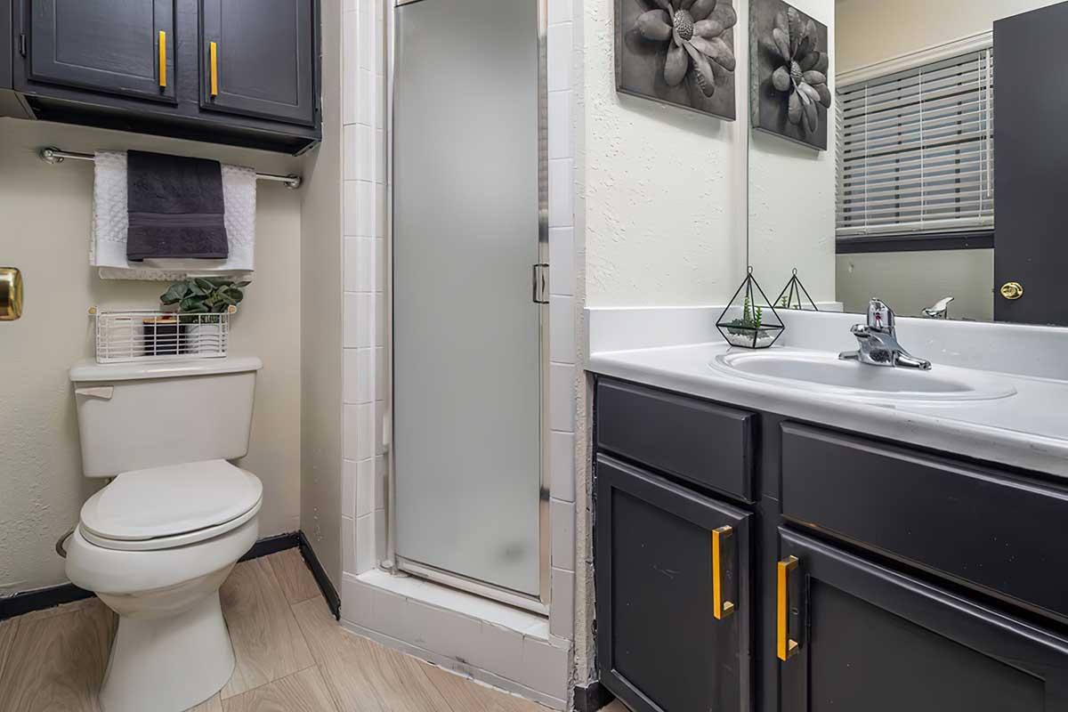 A modern bathroom featuring a shower with glass door, a white sink with silver faucet, dark cabinetry with gold handles, a toilet, and decorative elements such as a small plant and wall art. The space is well-lit with a window and has tiled flooring.